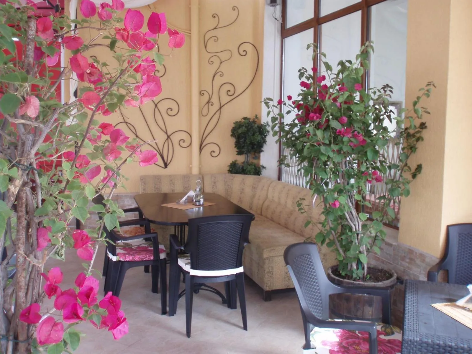 Restaurant/places to eat in Hotel Bellisimo