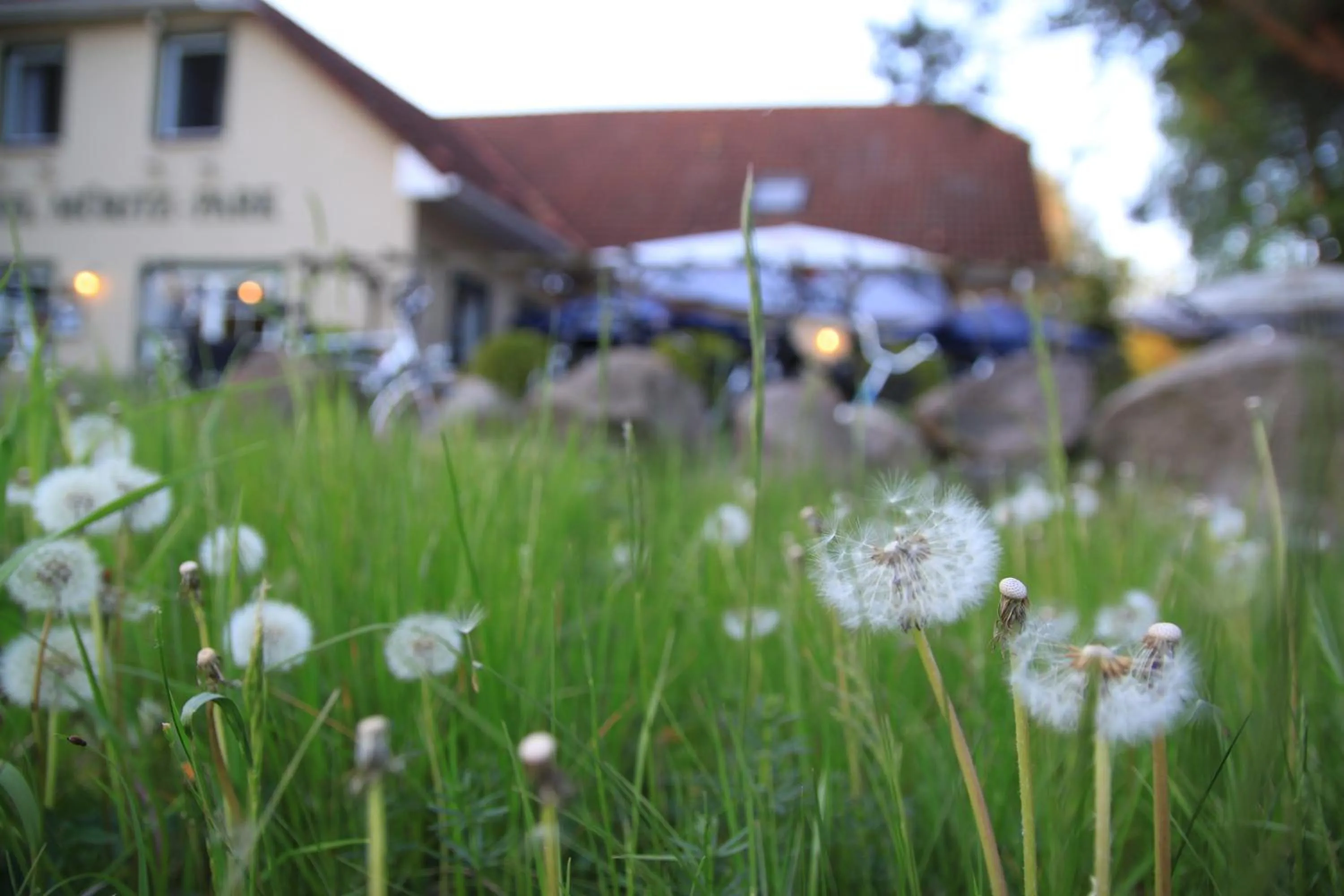 Other in Hotel Müritz-Park