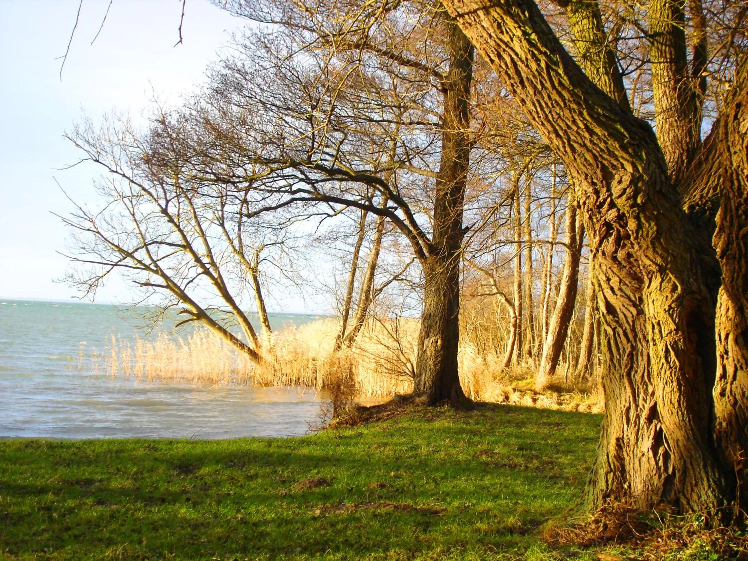 Other in Hotel Müritz-Park