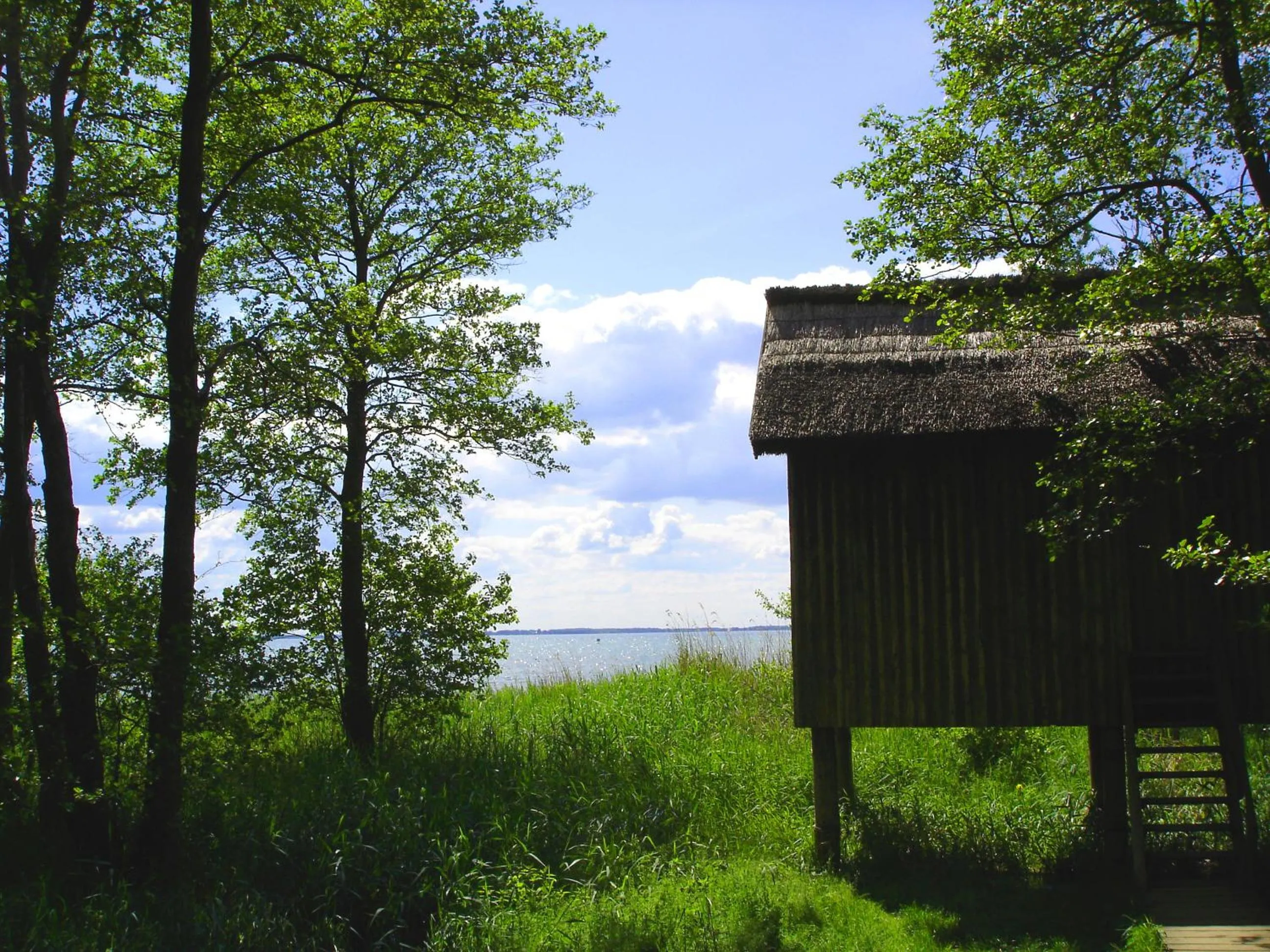 Natural landscape in Hotel Müritz-Park