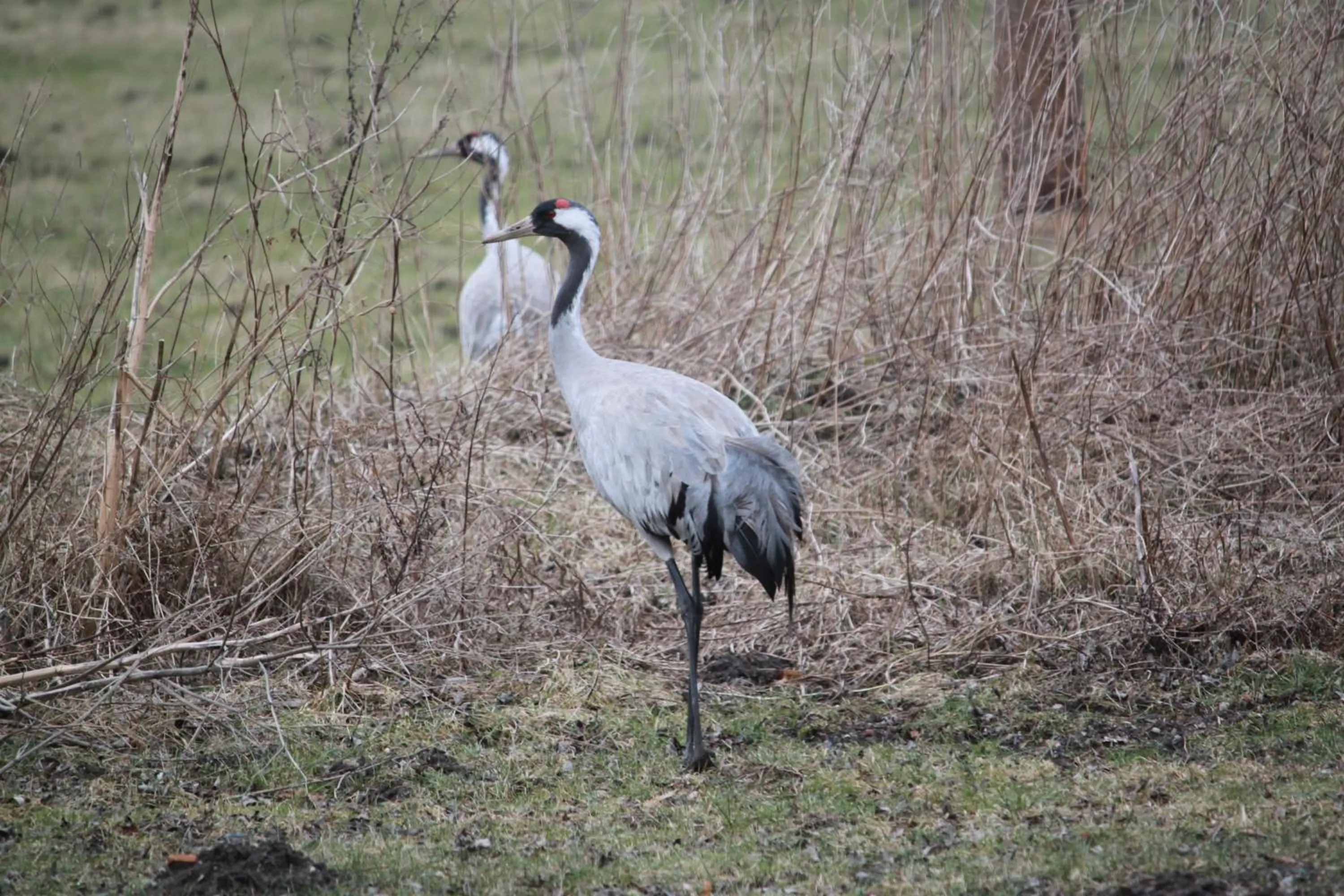 Nearby landmark in Hotel Müritz-Park