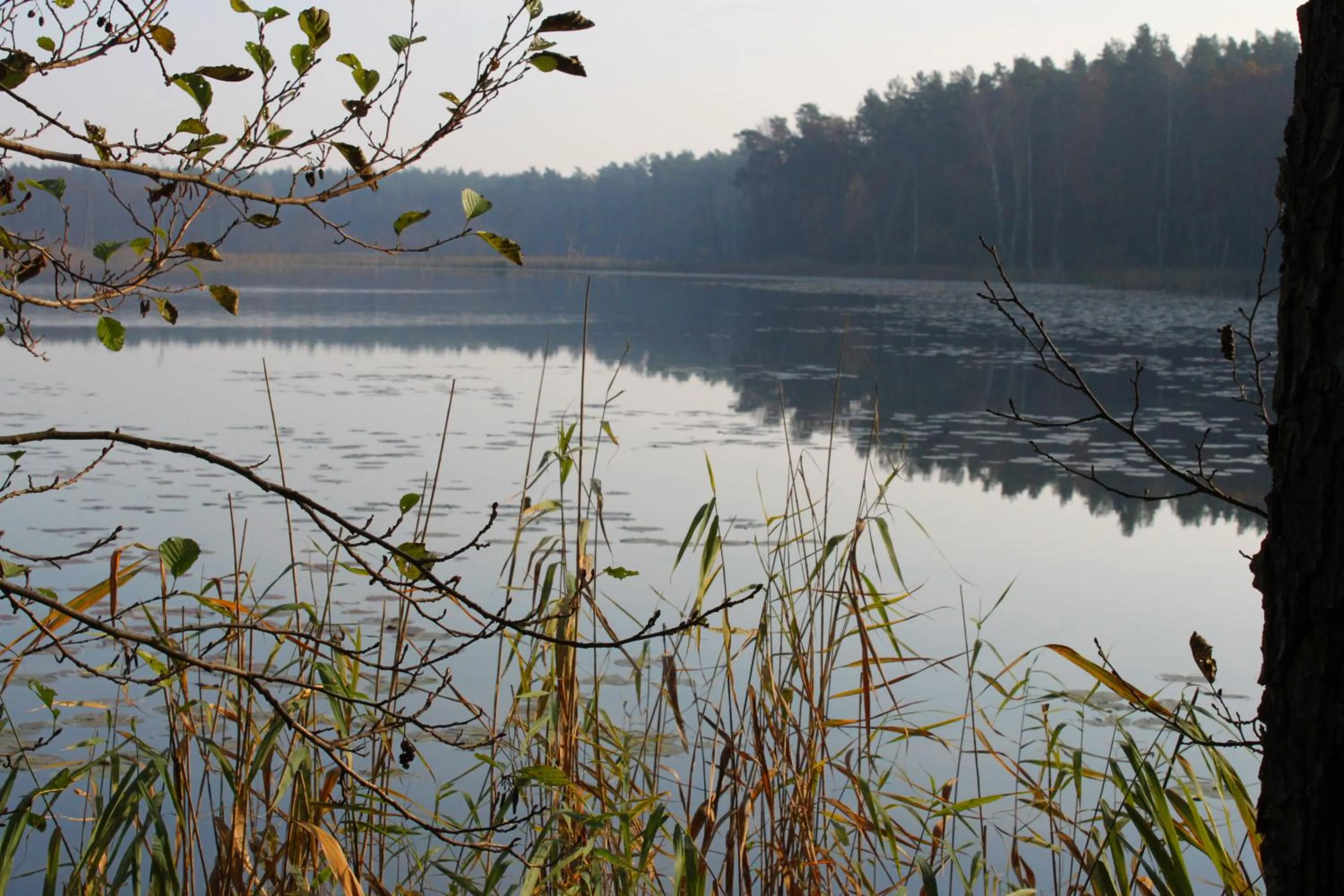 Neighbourhood in Hotel Müritz-Park