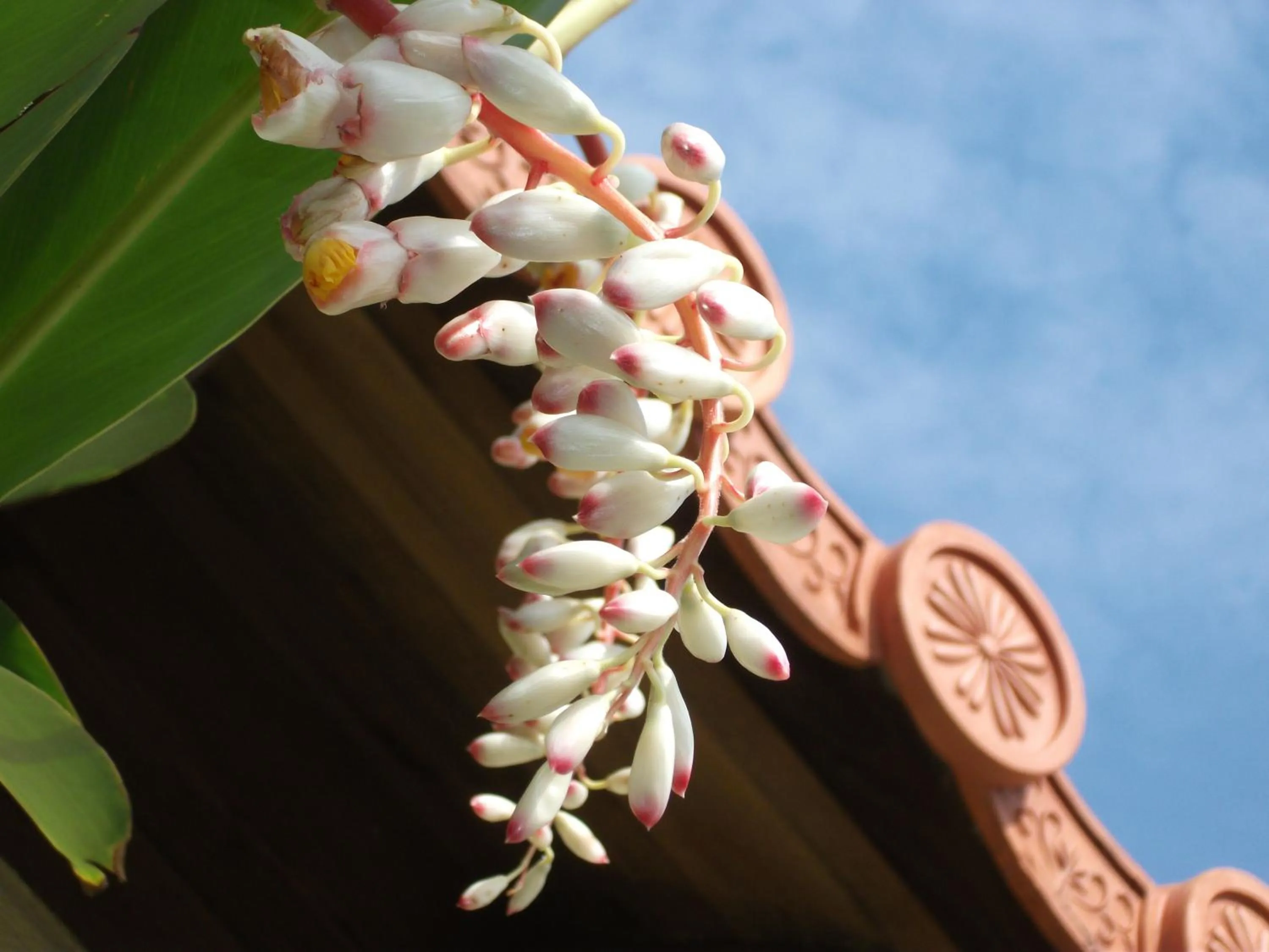 Decorative detail in Akachichi Guesthouse