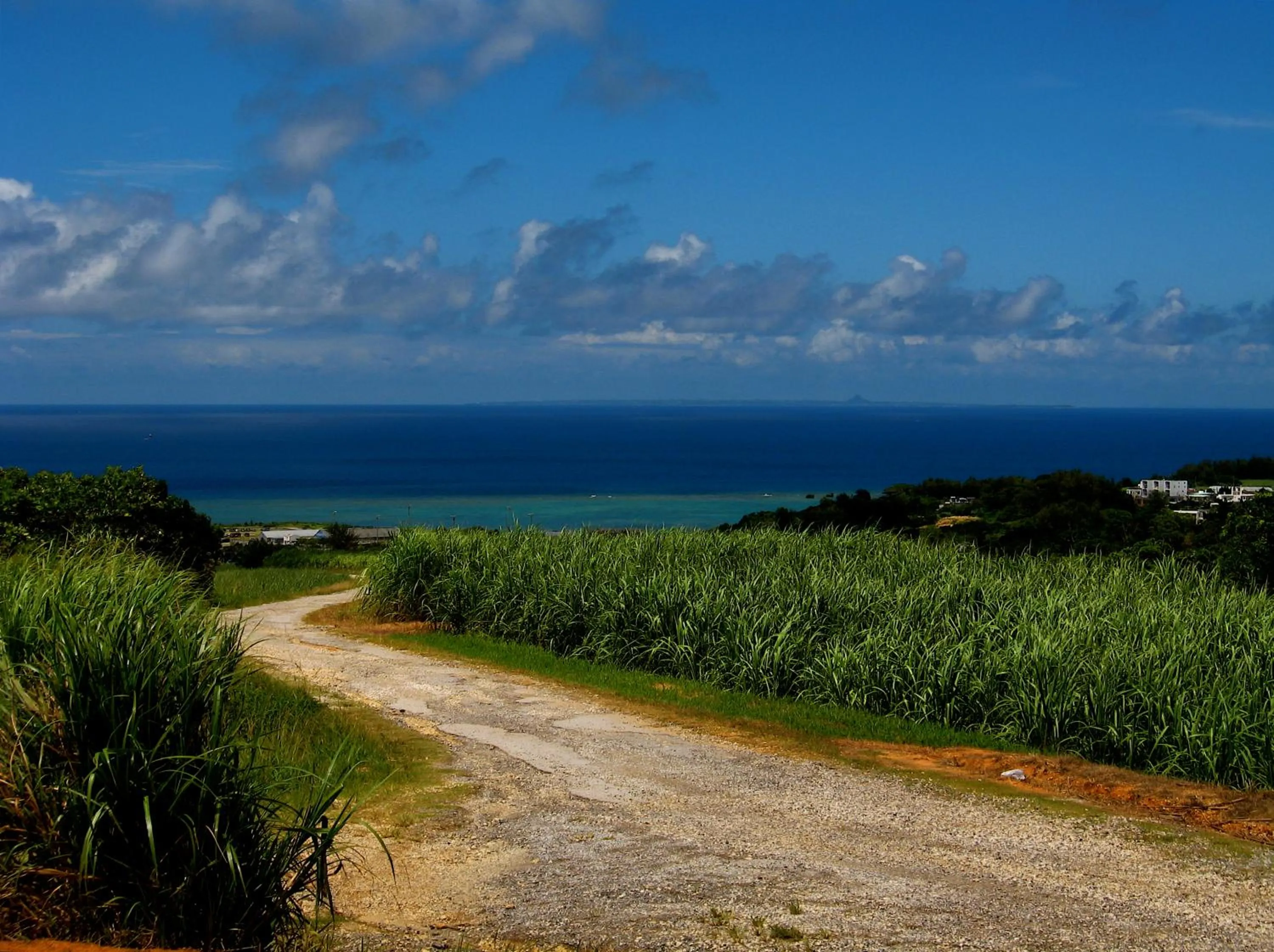 Natural landscape in Akachichi Guesthouse