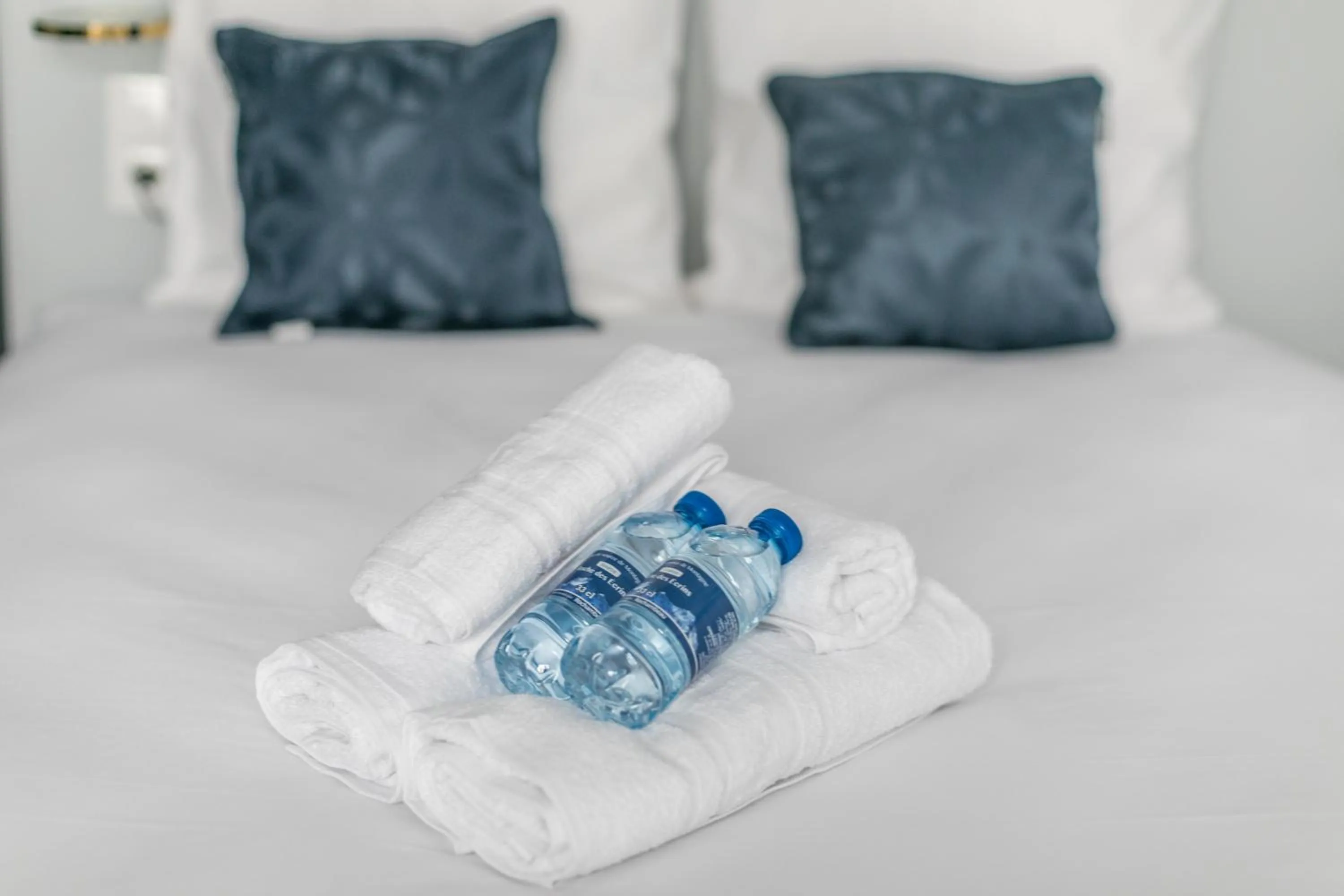 Bedroom, Bed in WS Saint-Lazare - Opera