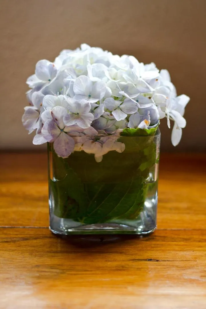 Decorative detail in Poas Volcano Lodge