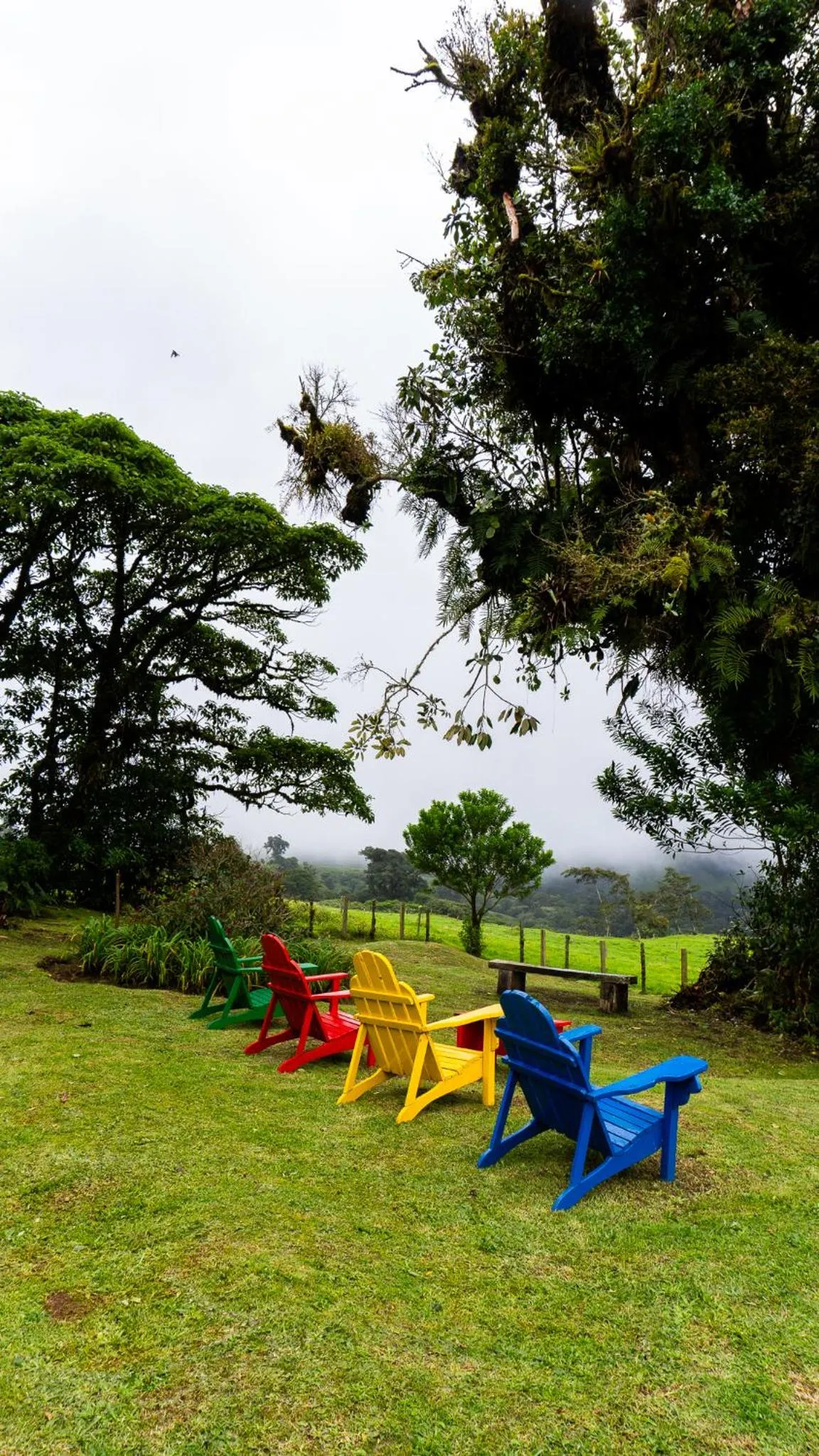 Garden view in Poas Volcano Lodge
