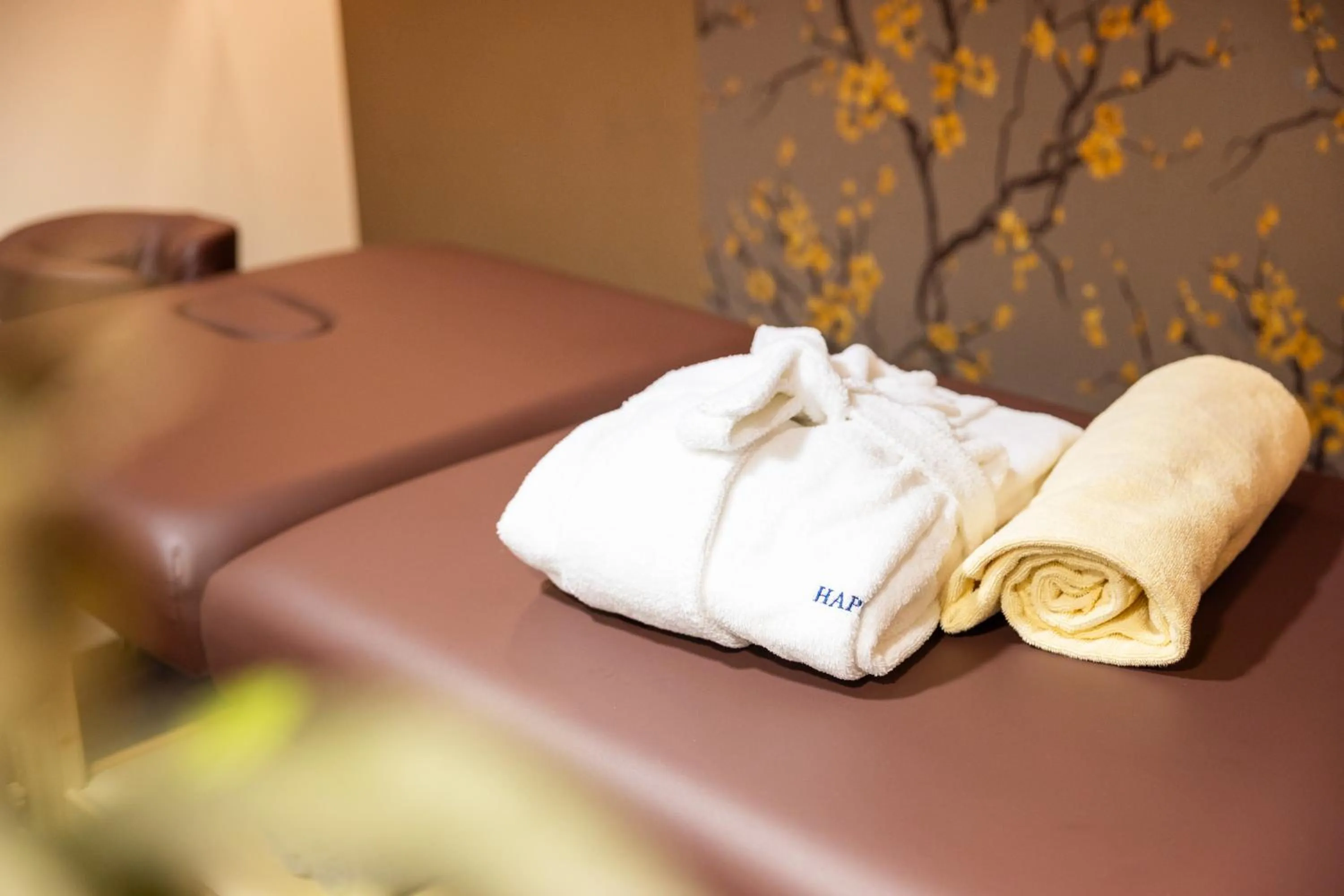 Massage in Hapimag Resort Budapest