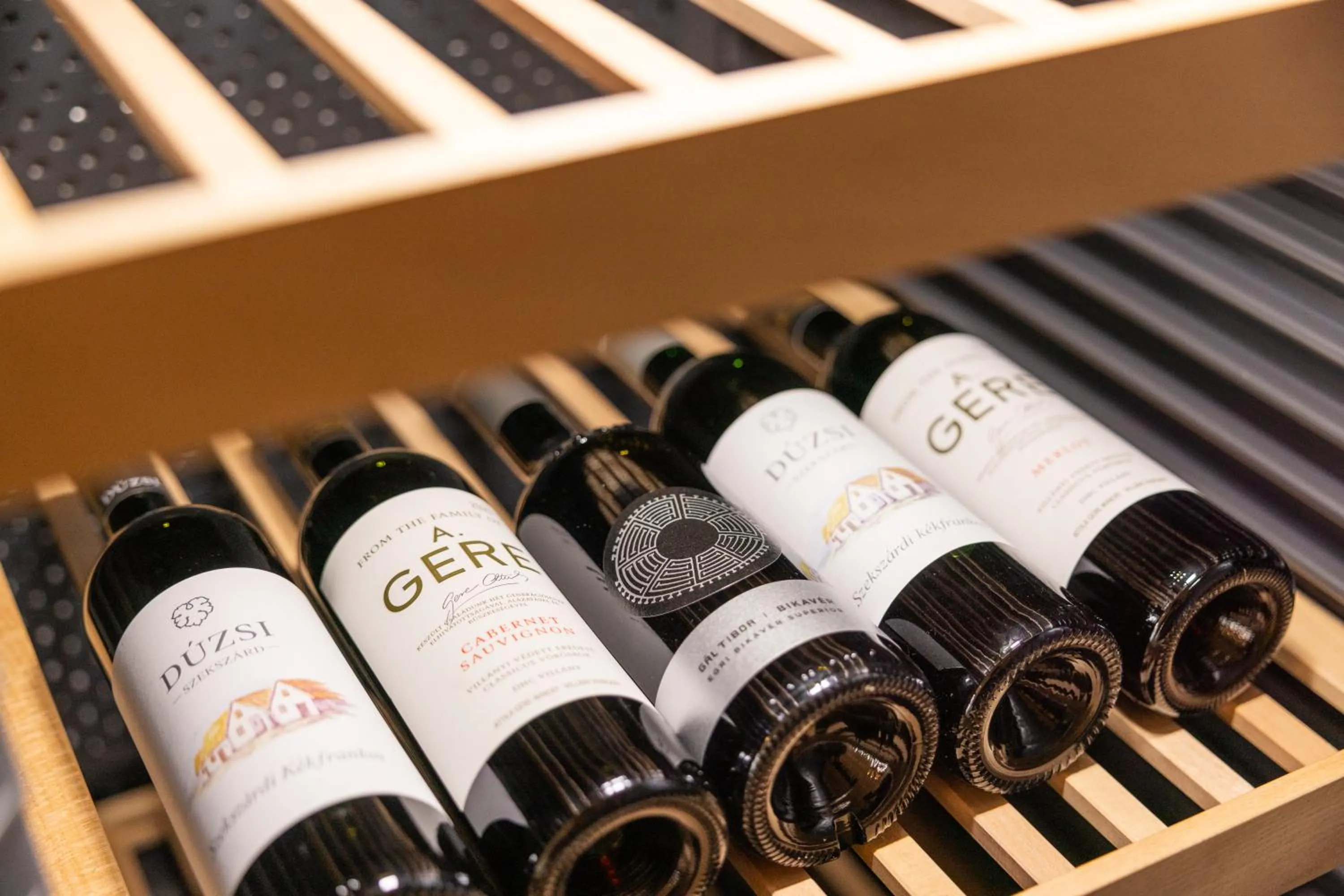 Library in Hapimag Resort Budapest