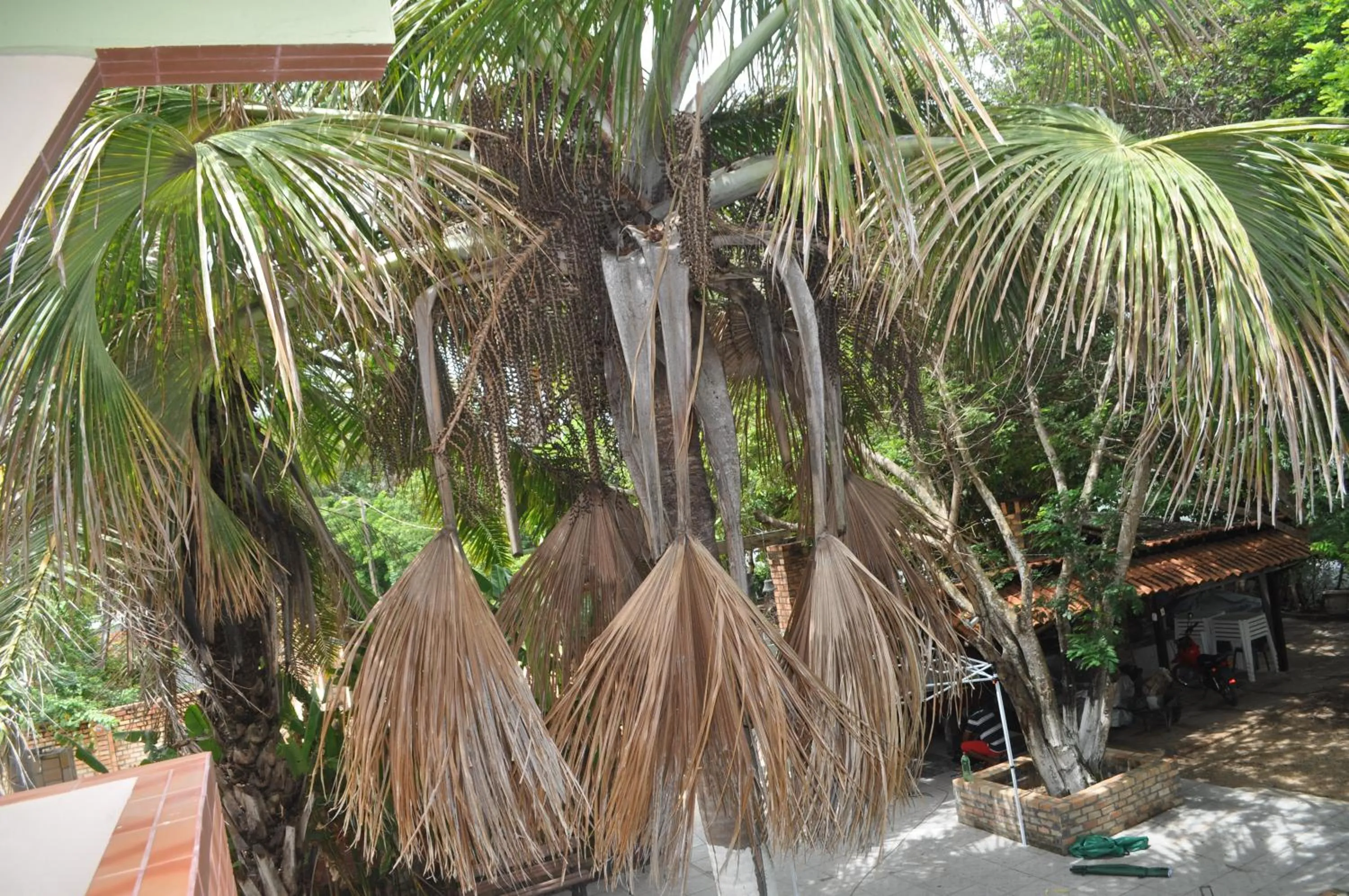 Hotel Pousada Paraíso das Águas