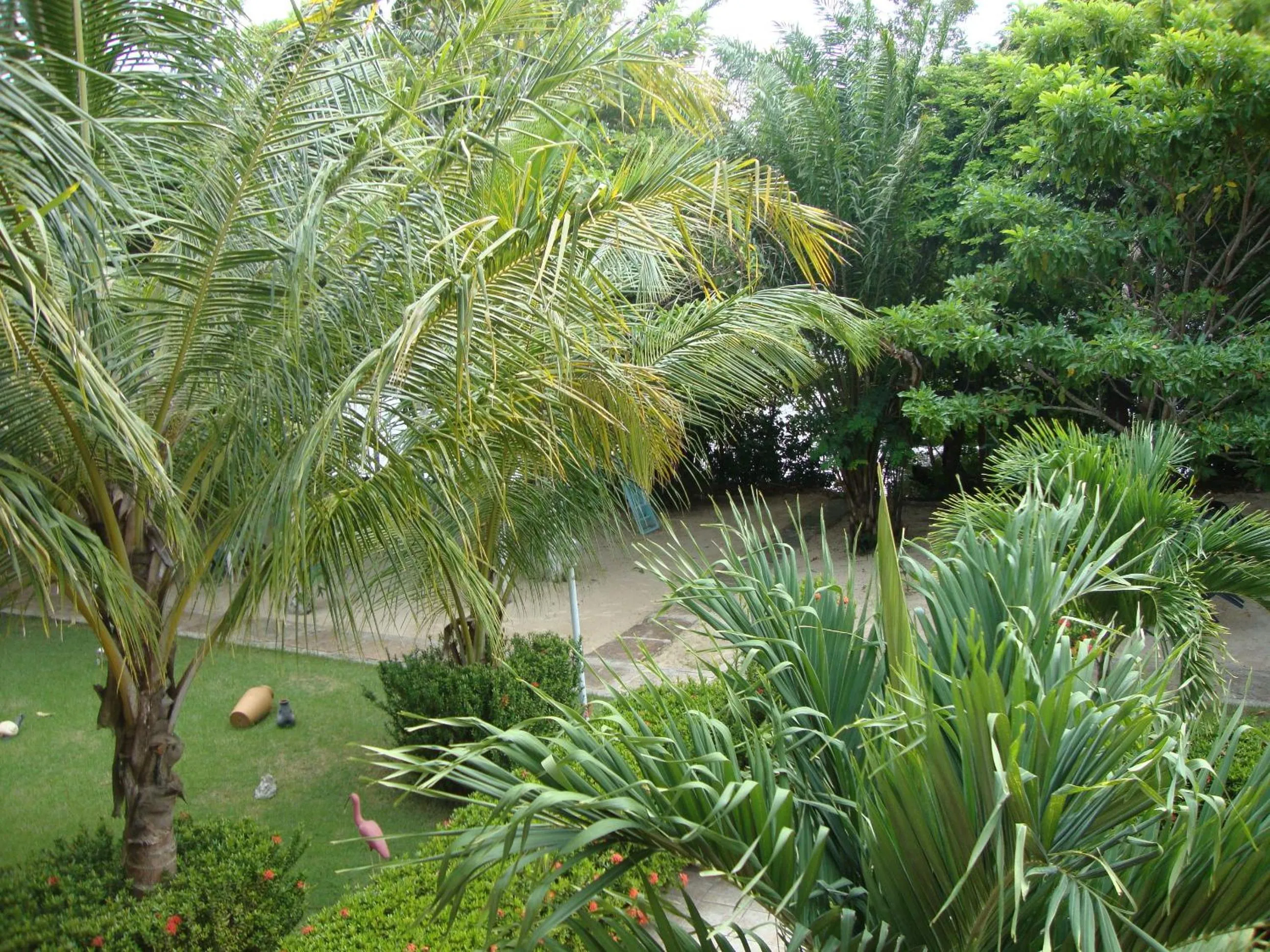 Garden in Hotel Pousada Paraíso das Águas
