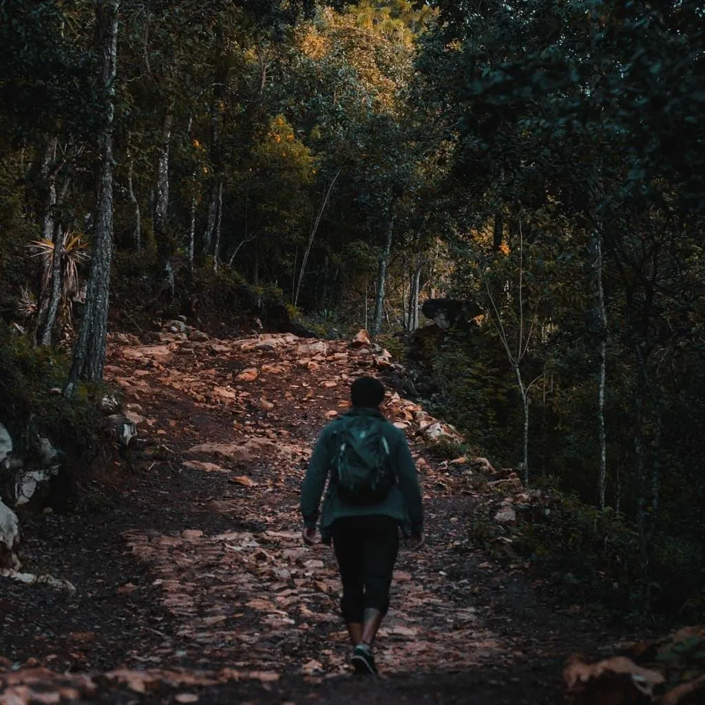 Natural landscape in Nuestras Raíces Hotel - Museo - Restaurante