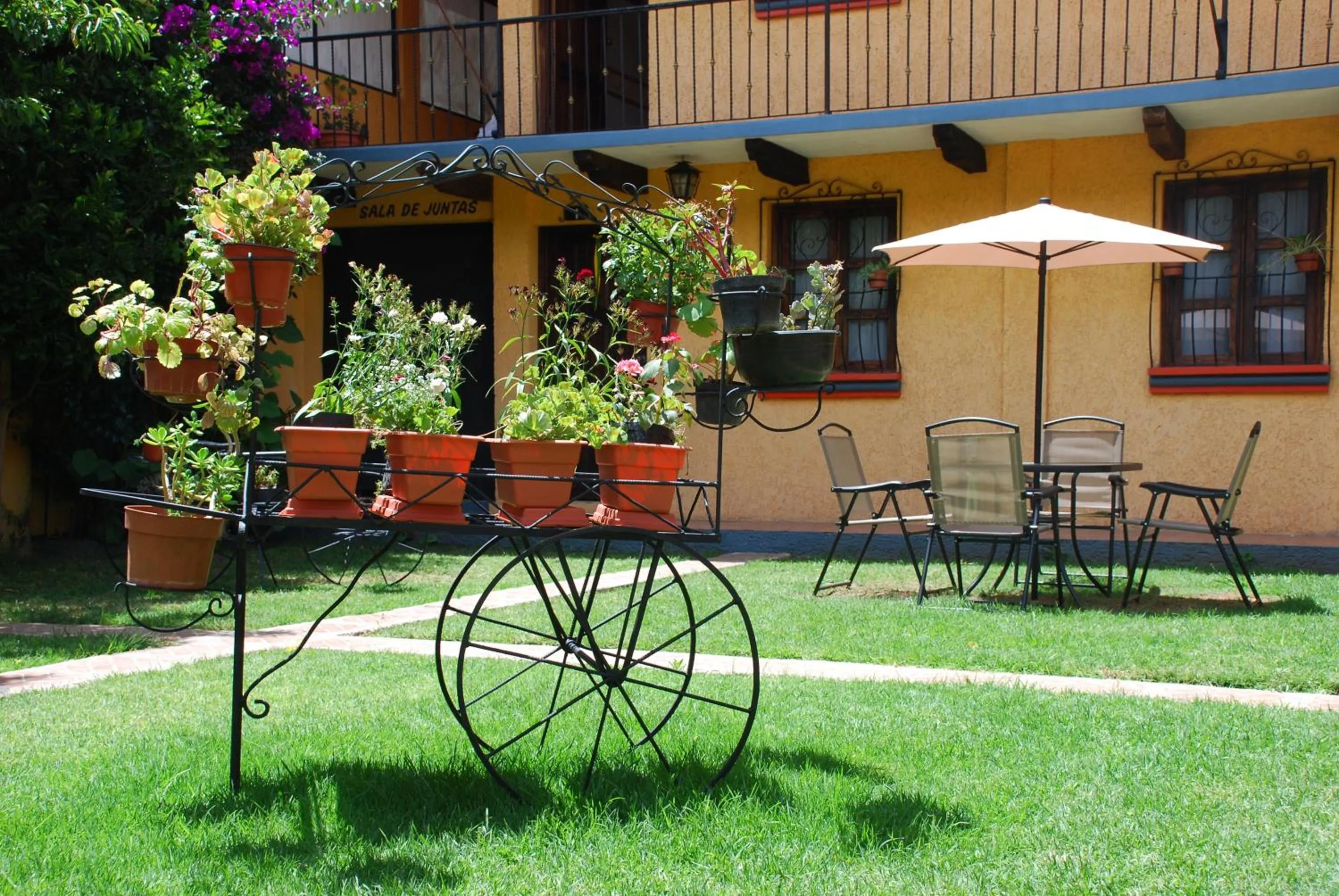 Garden in Nuestras Raíces Hotel - Museo - Restaurante