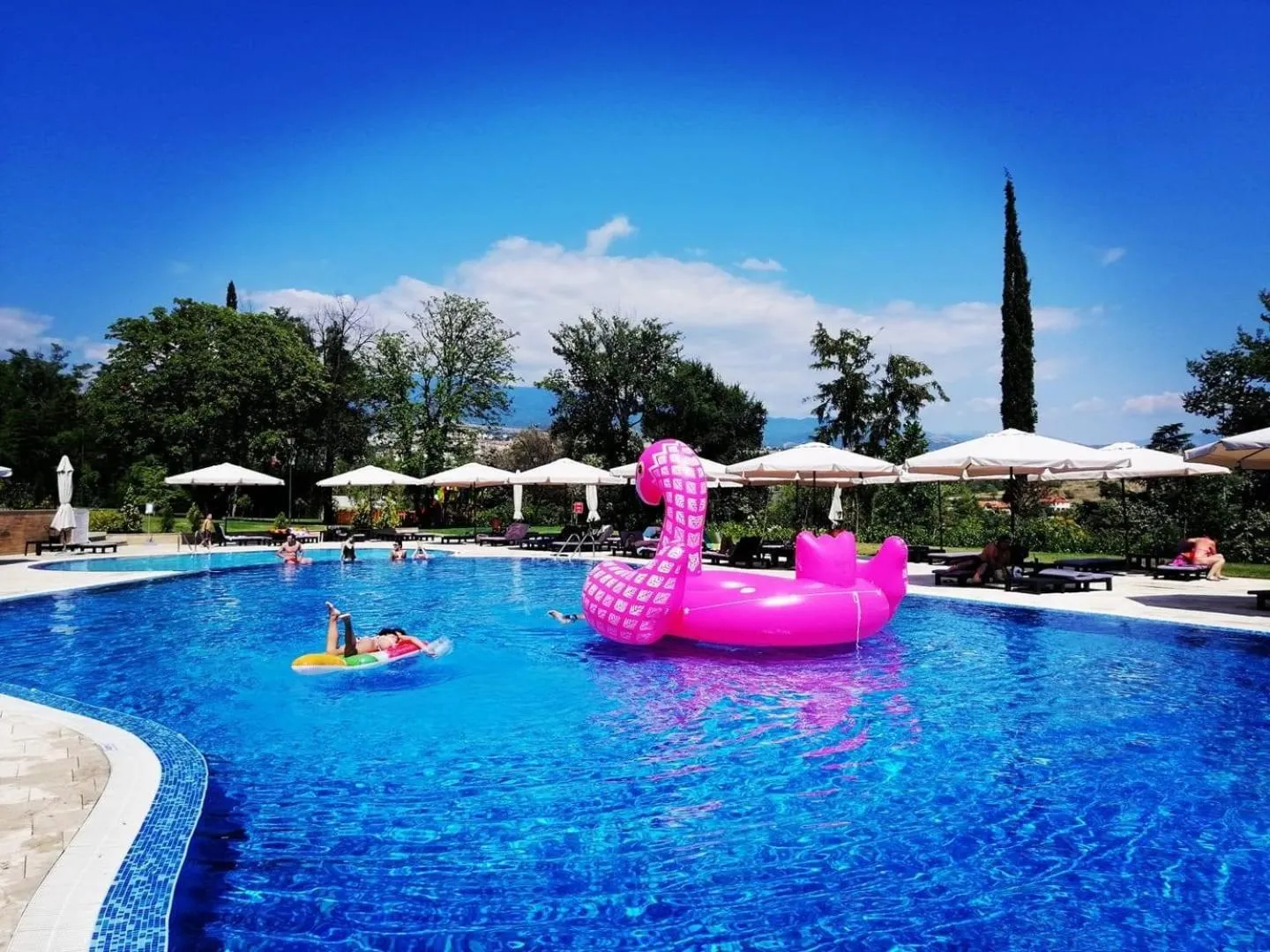 Swimming pool in Villa Sintica