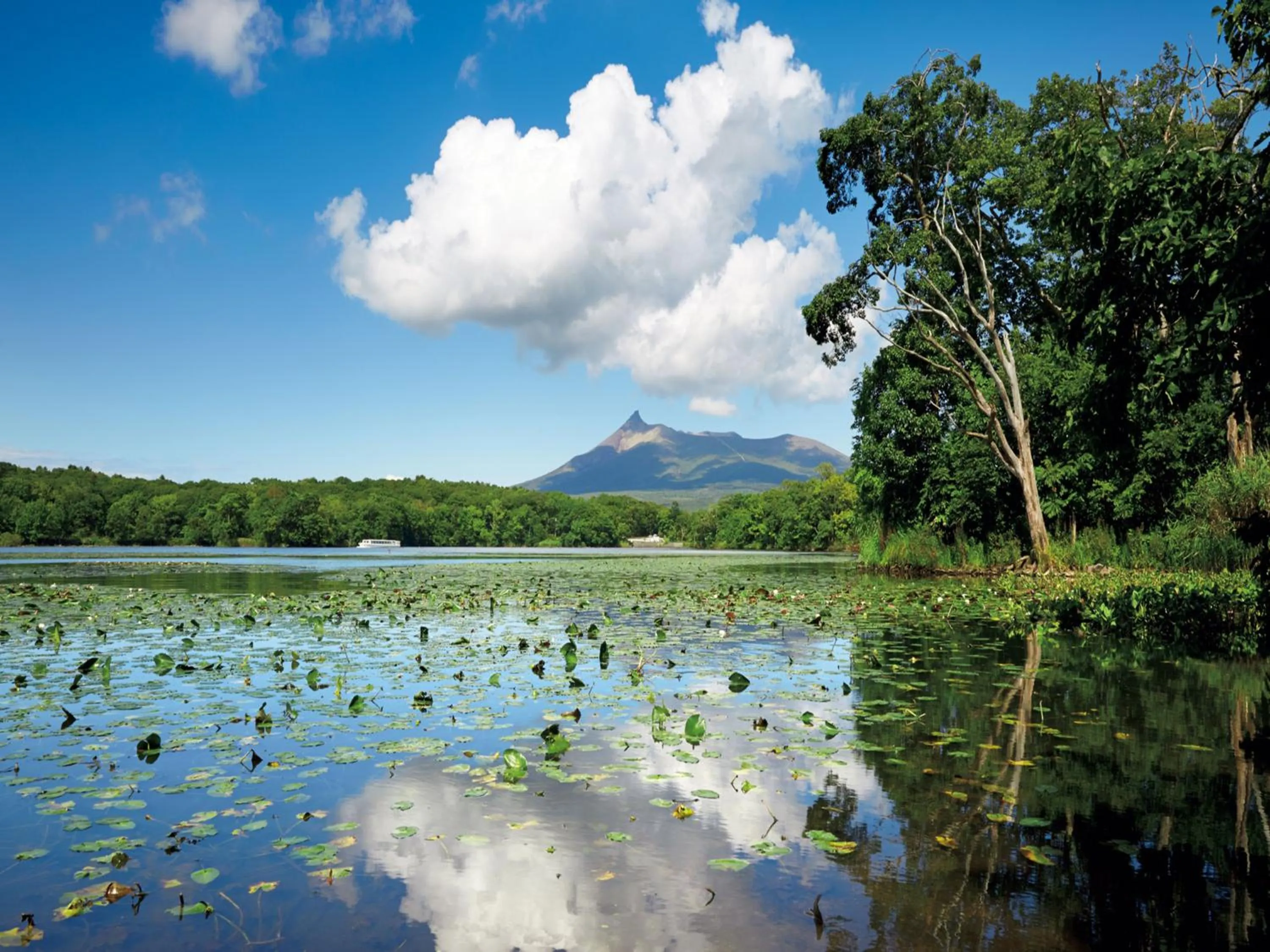 Natural landscape in Hakodate-Onuma Prince Hotel
