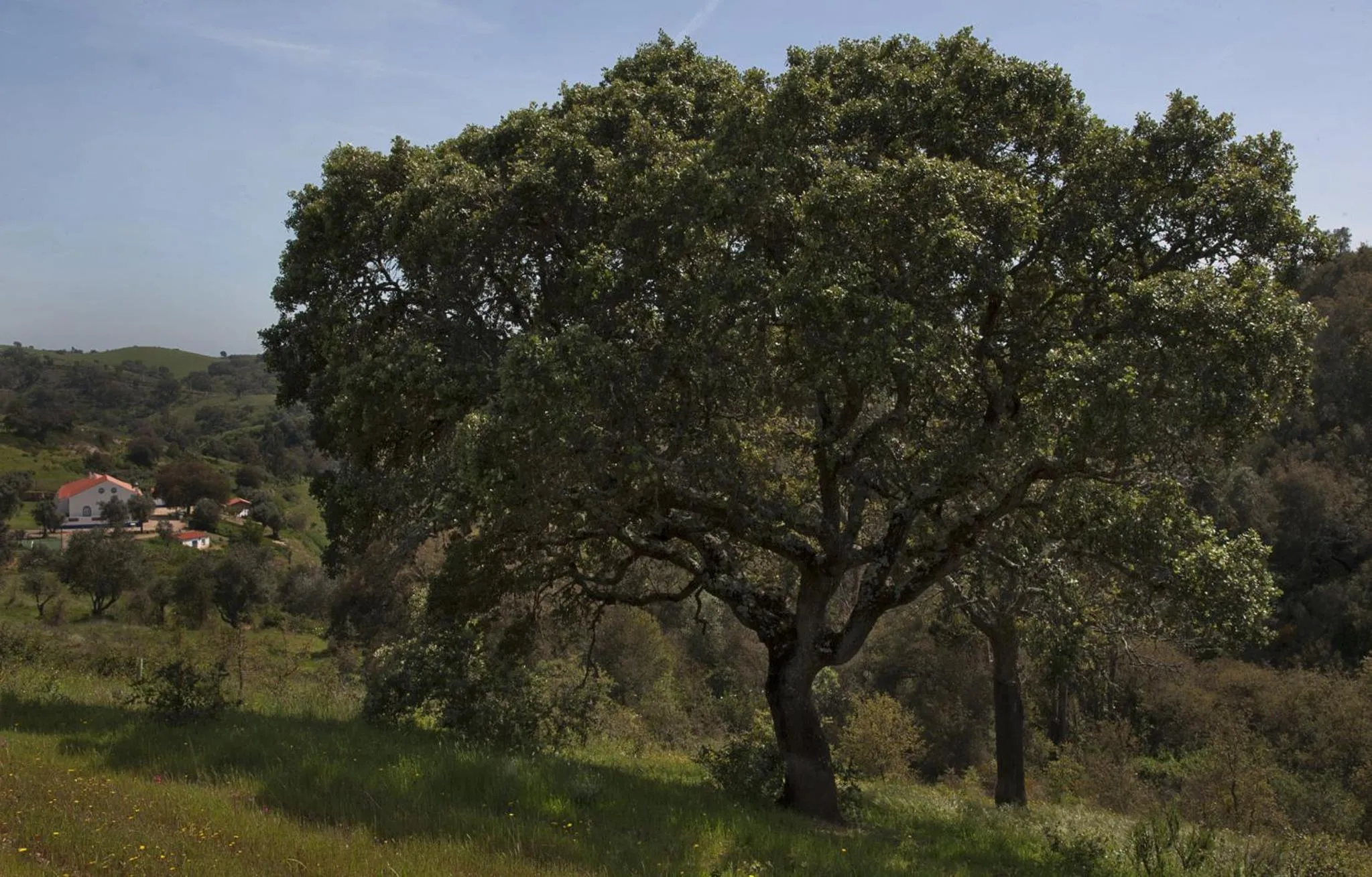 Other in Quinta do Chocalhinho Agroturismo & SPA