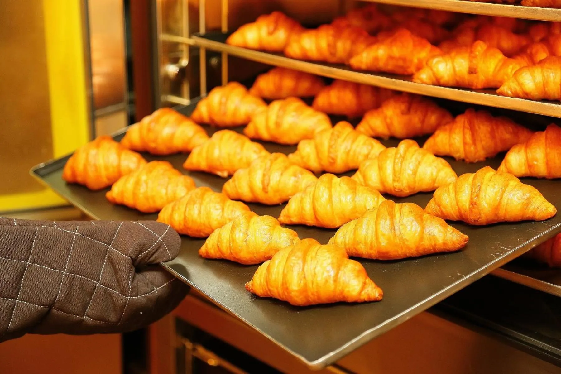 Restaurant/places to eat in Yokohama Heiwa Plaza Hotel