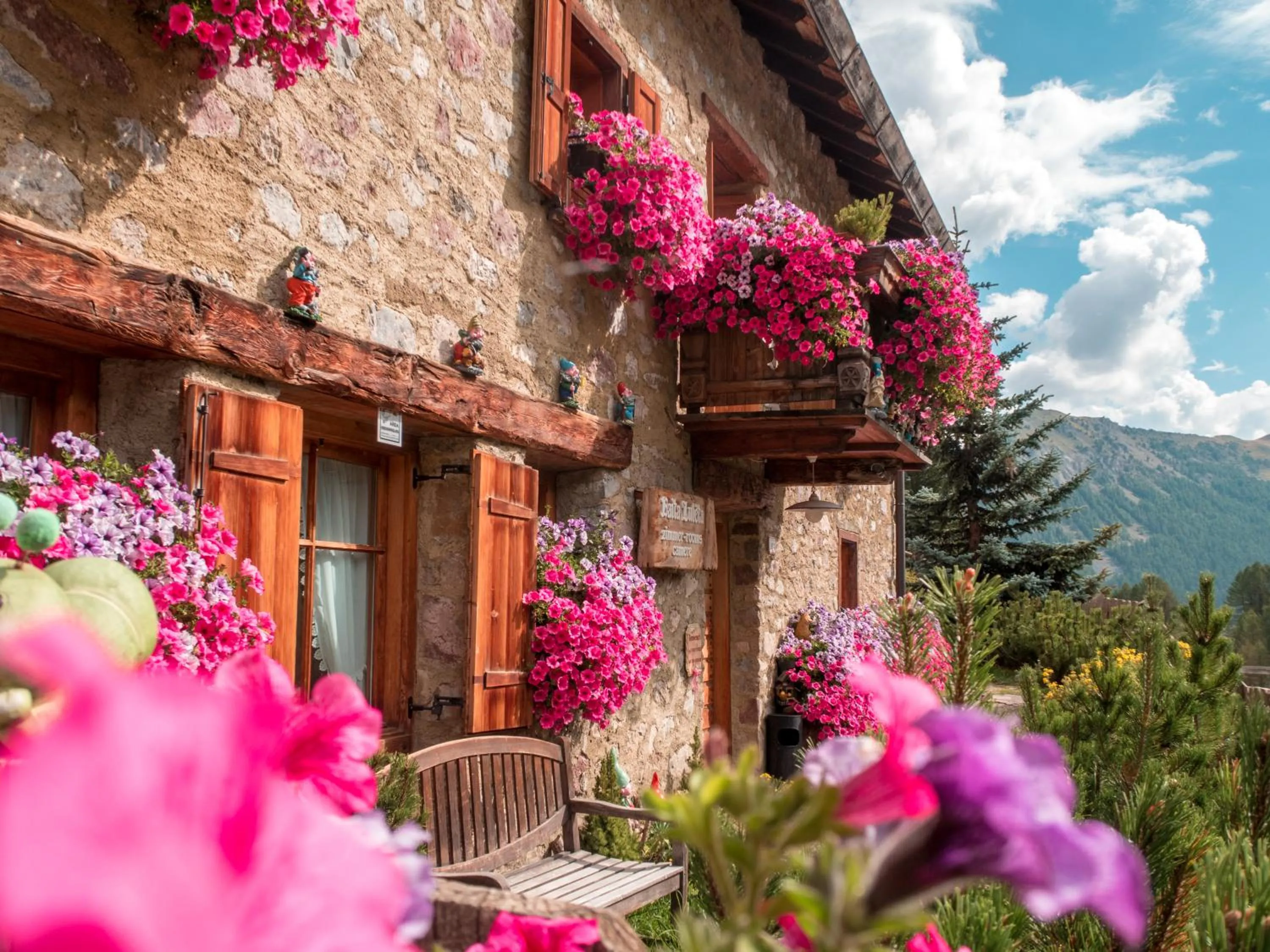 Property building in Baita Luleta