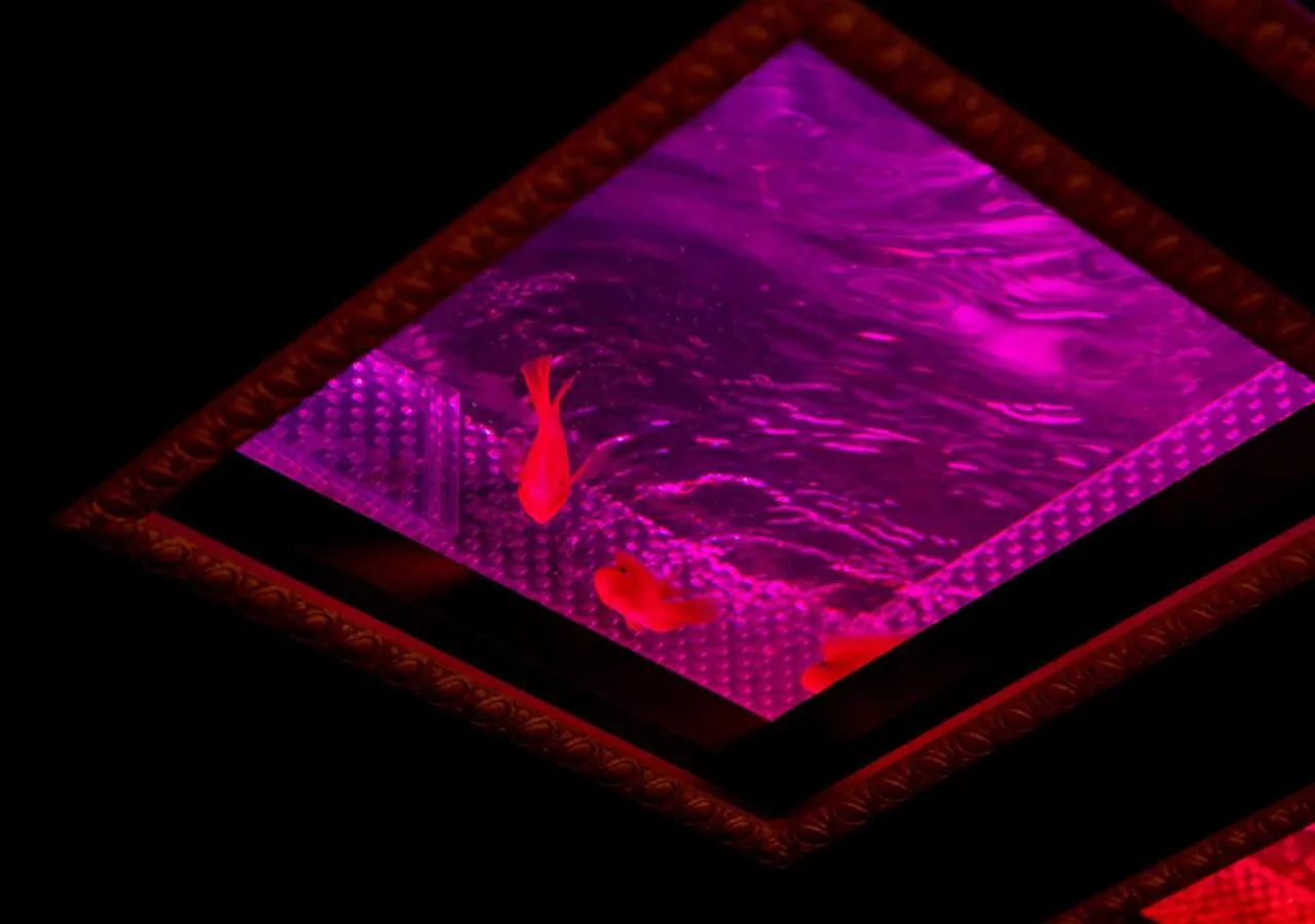 HOTEL Eldia Japanese Modern (Adult Only)