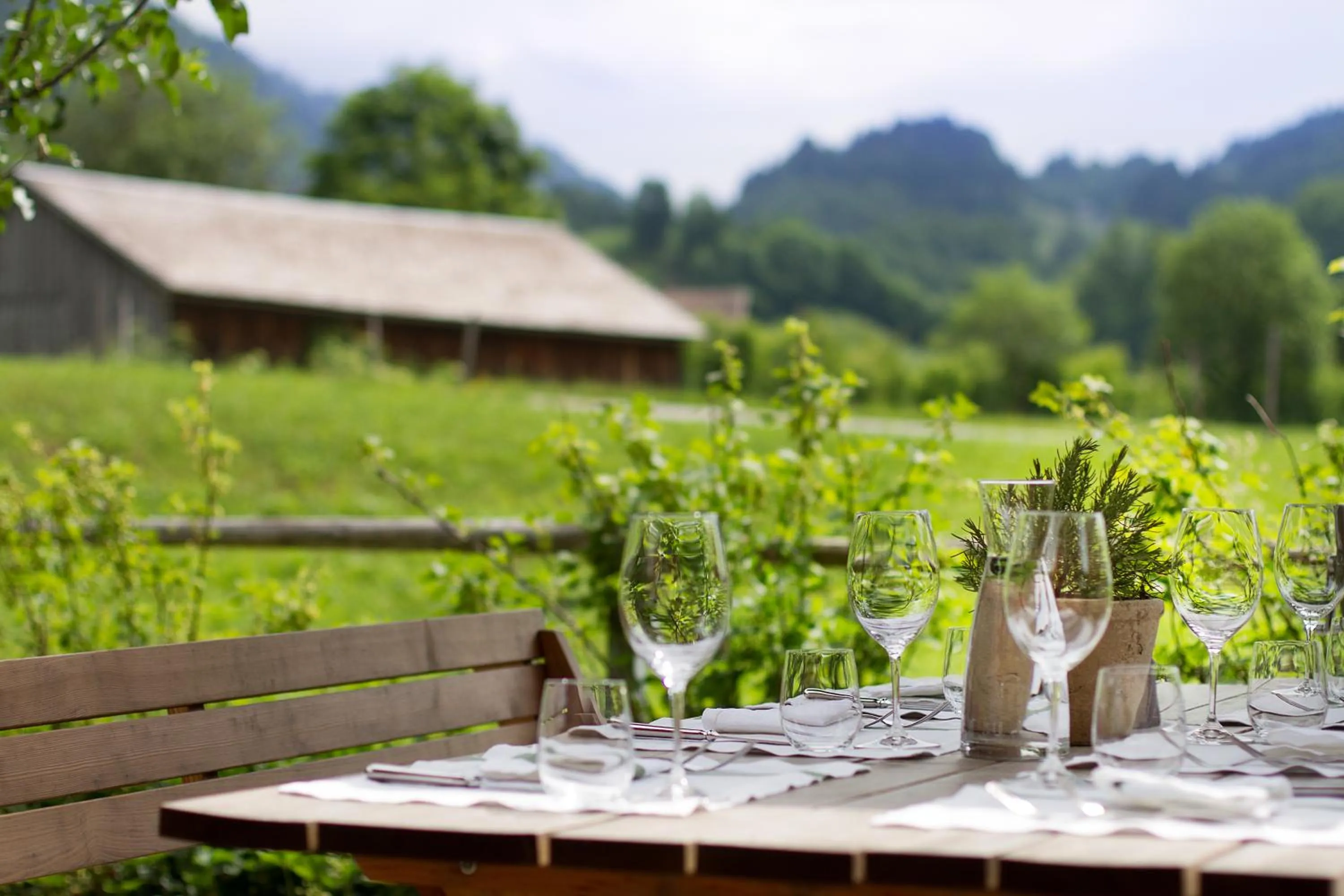 Restaurant/places to eat in Gasthof Taube