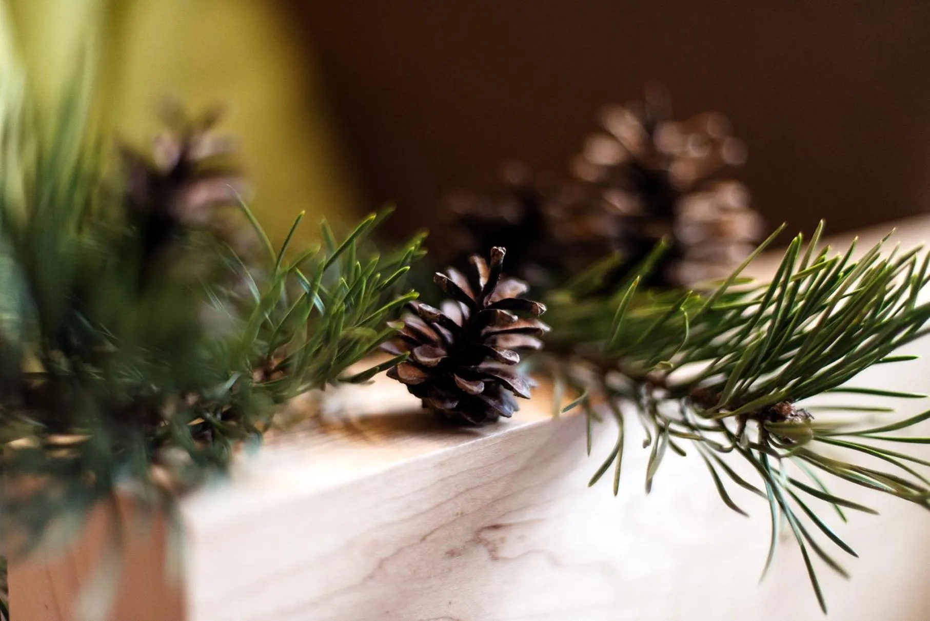 Other in Residence Walder