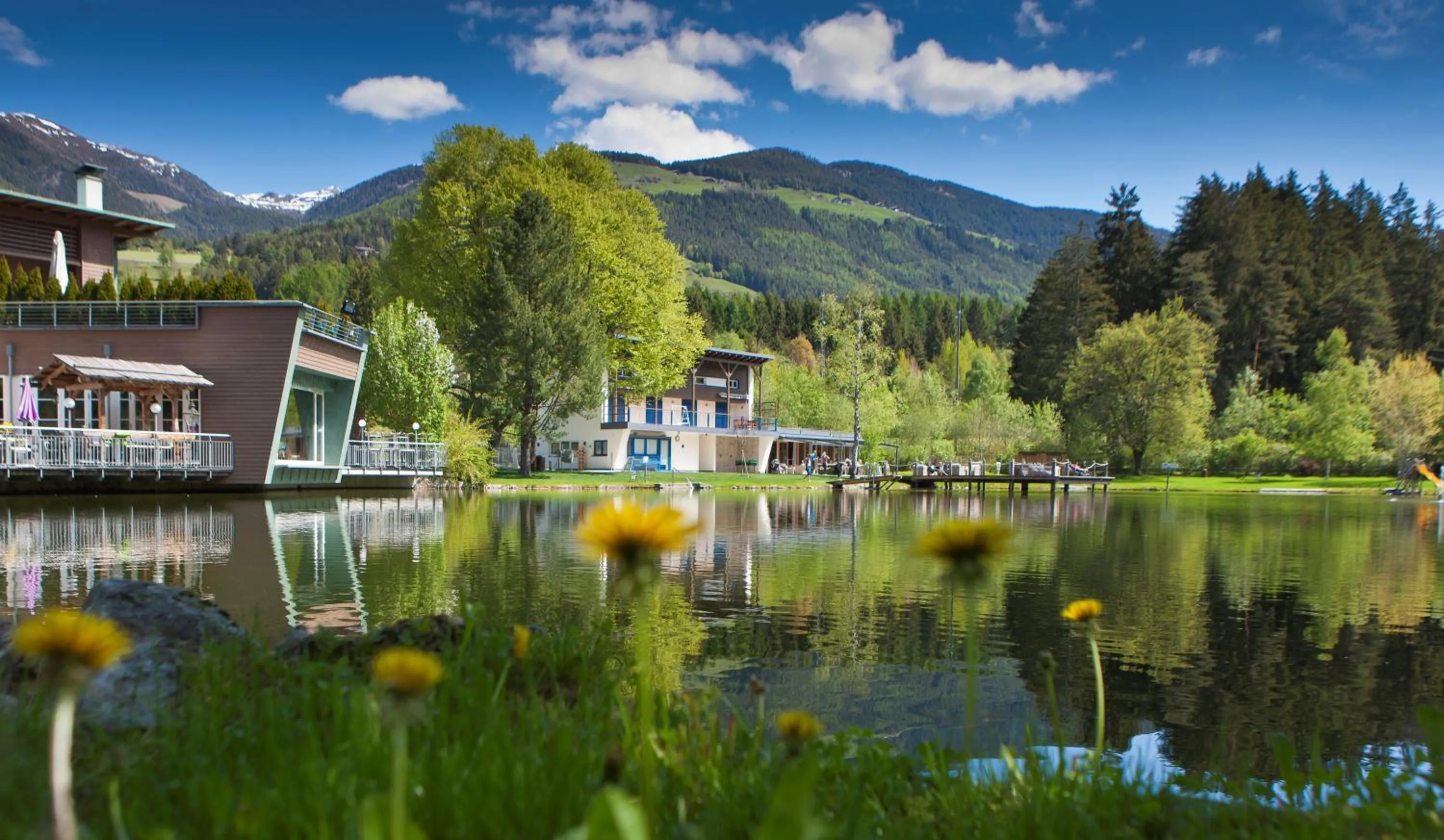 Natural landscape in Residence Walder