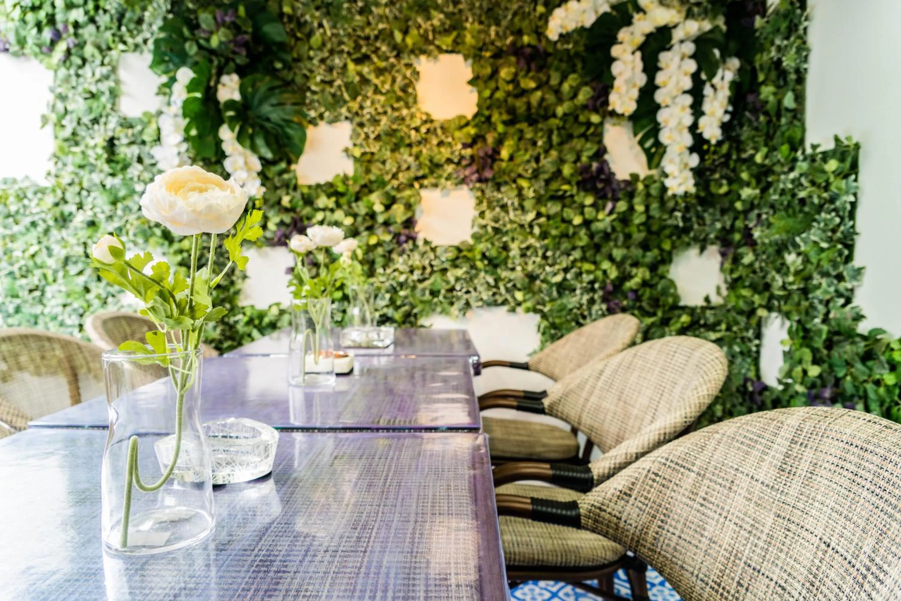 The LOL Elephant Hostel