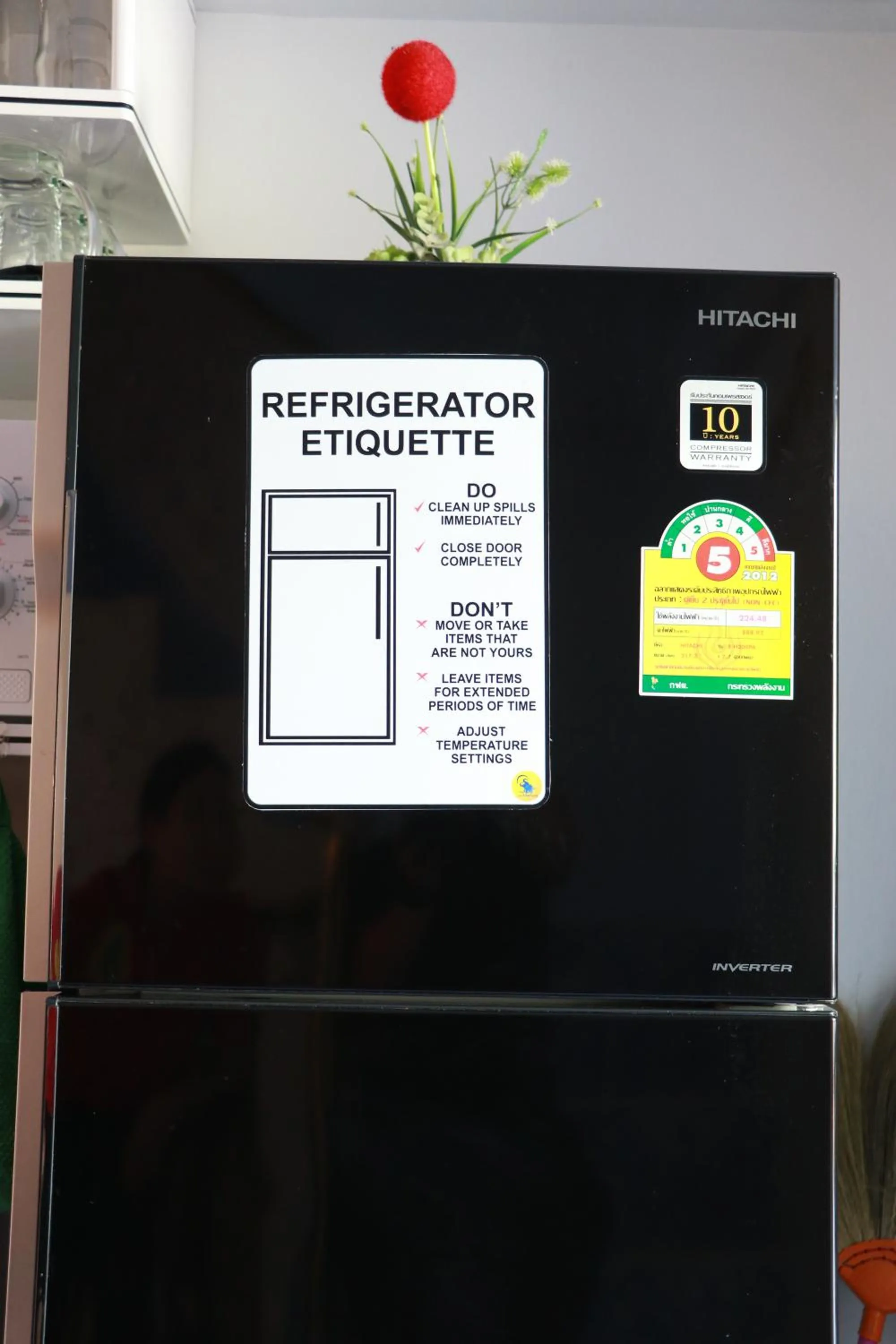 The LOL Elephant Hostel