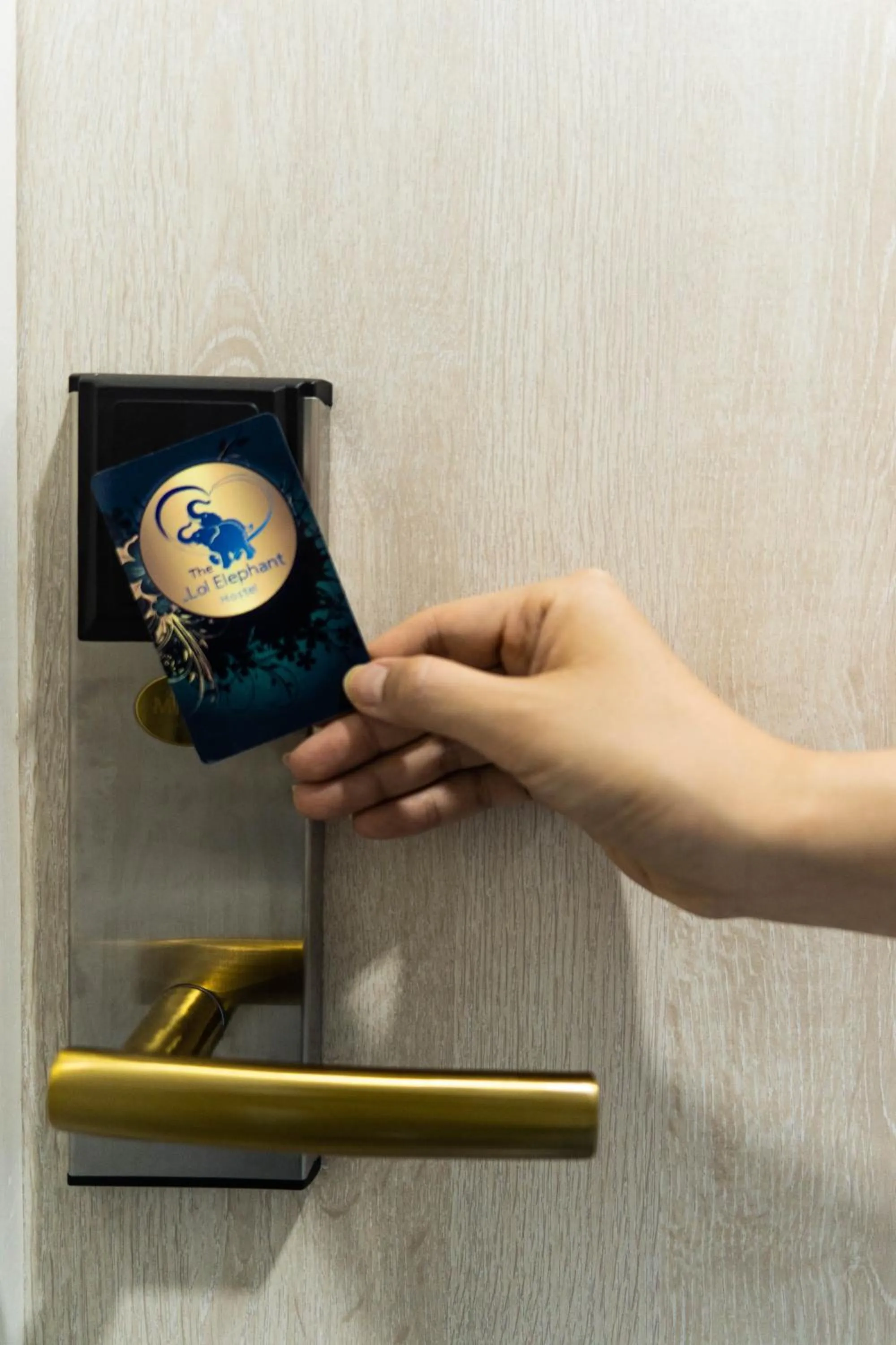 The LOL Elephant Hostel