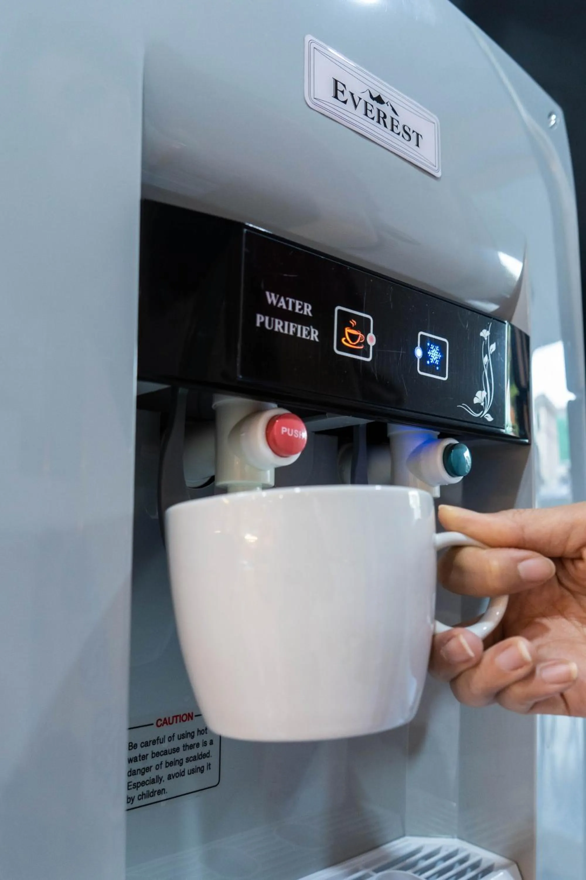 The LOL Elephant Hostel