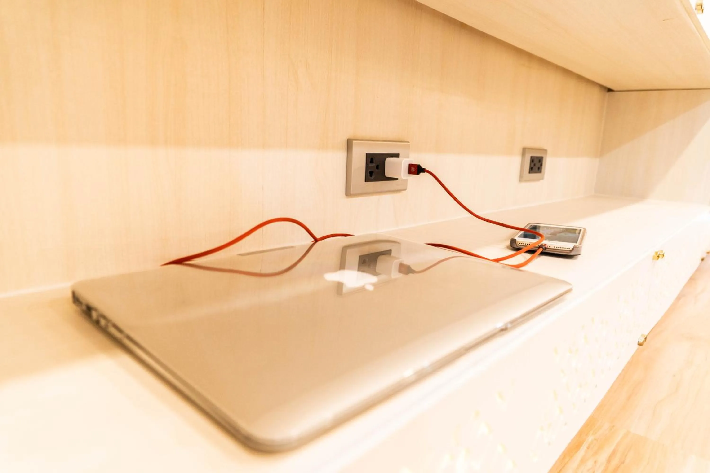 The LOL Elephant Hostel