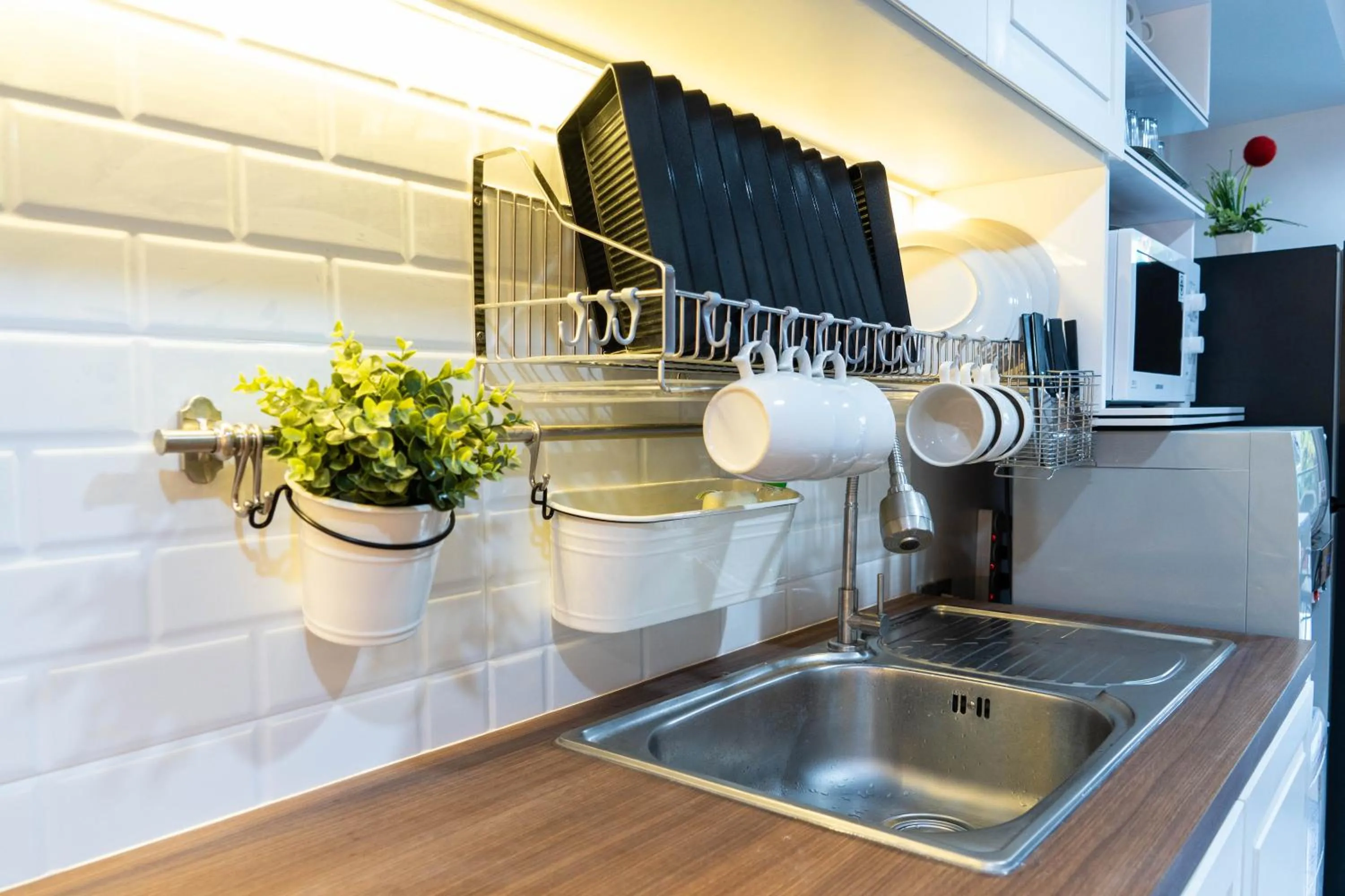 The LOL Elephant Hostel