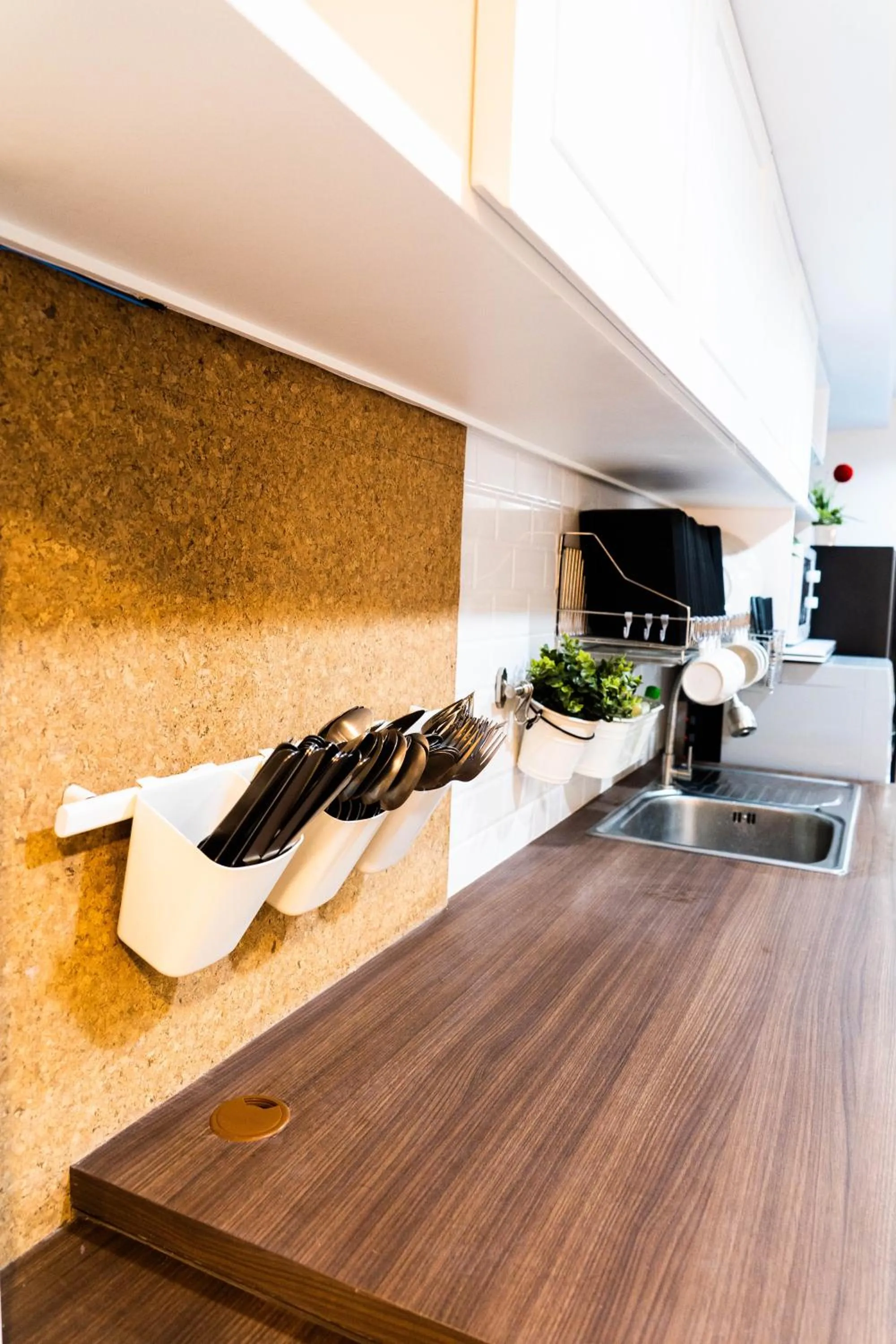 The LOL Elephant Hostel