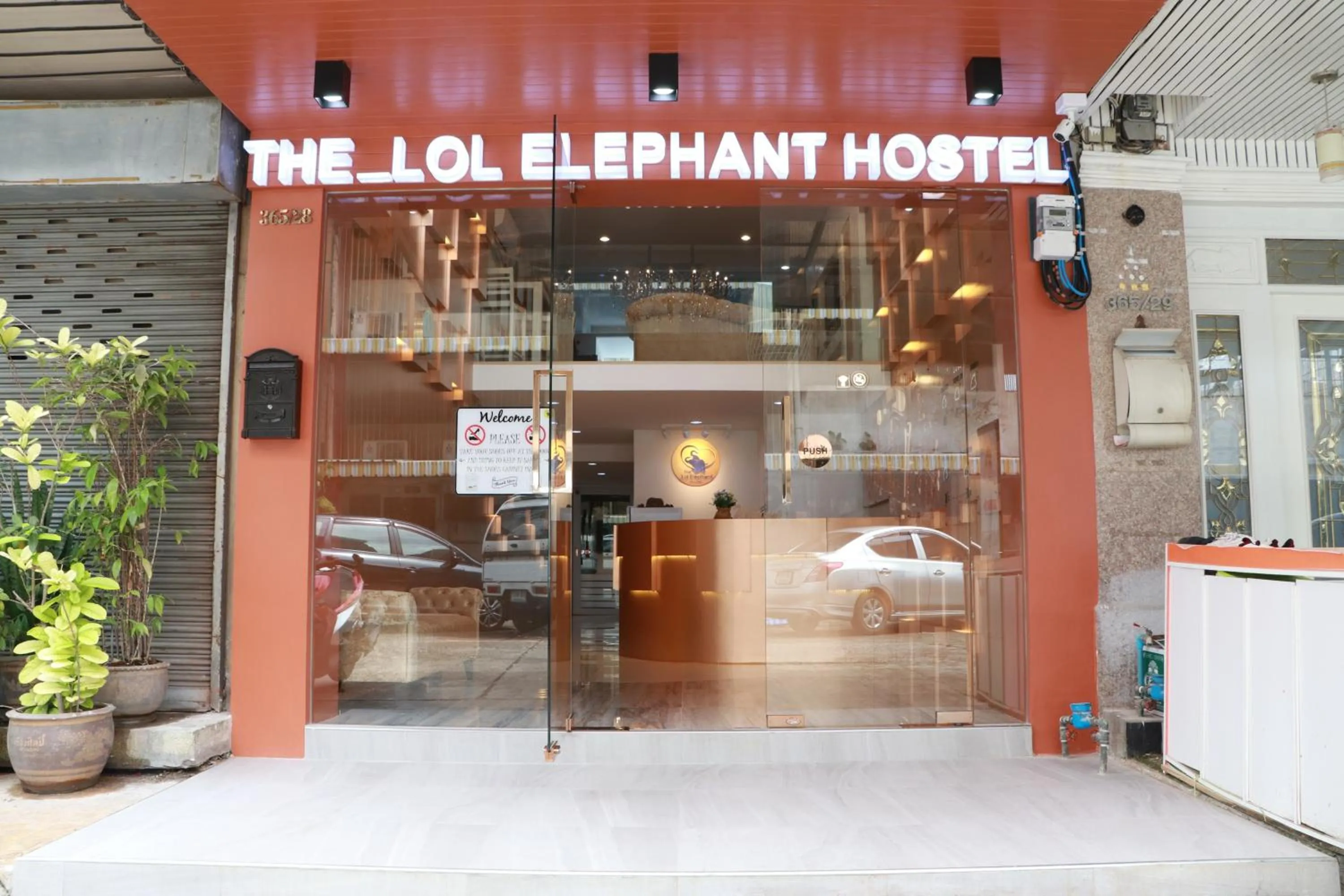 The LOL Elephant Hostel