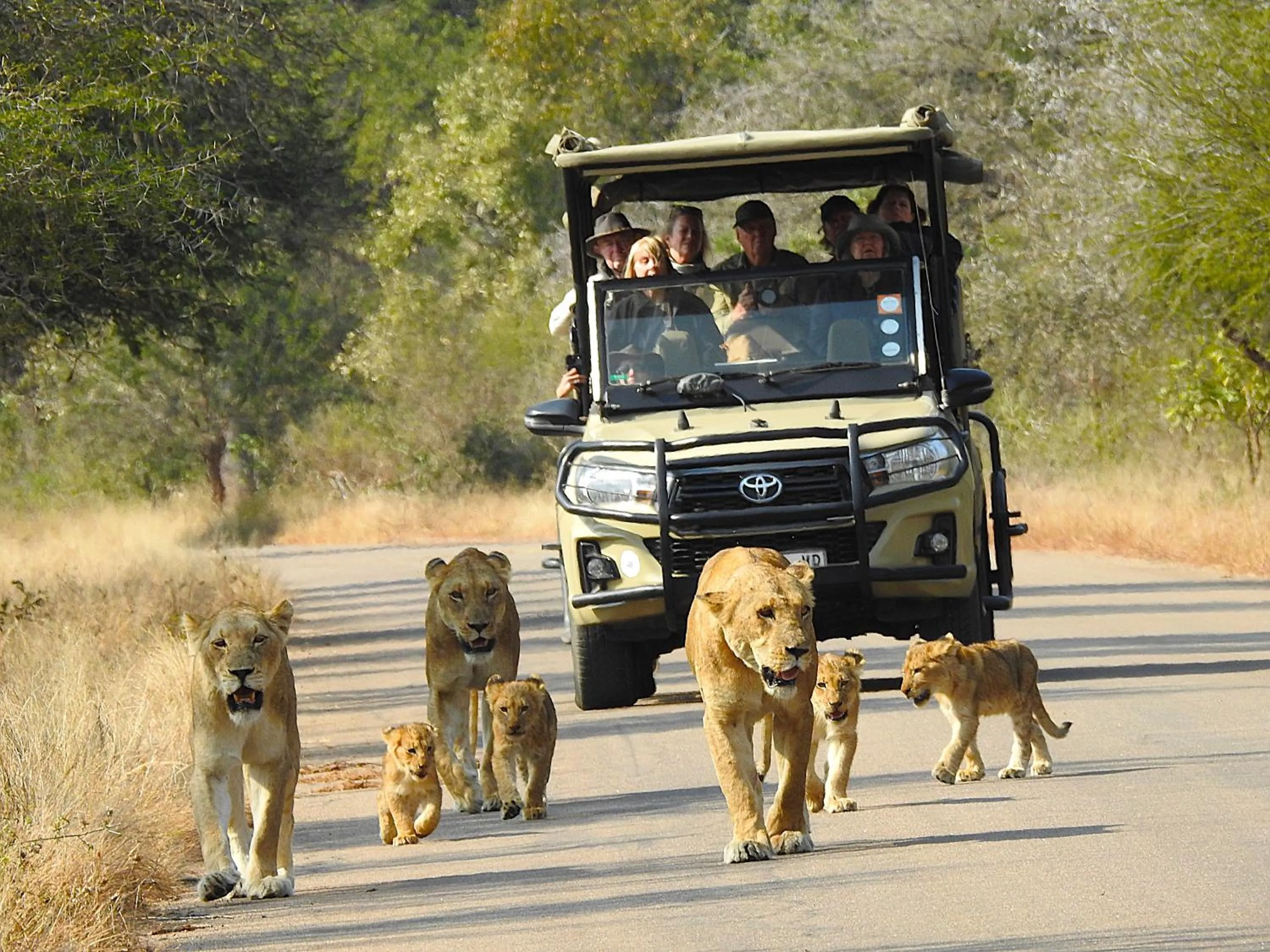 Natural landscape in Ubuntu Bed and Breakfast