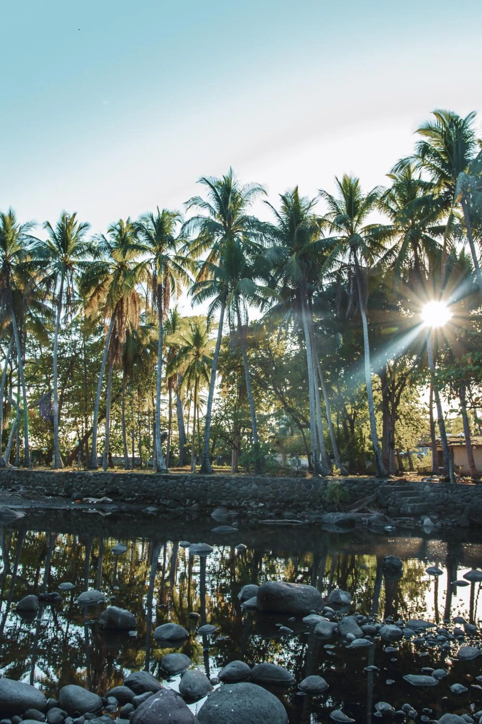 Natural landscape in Esencia Nativa