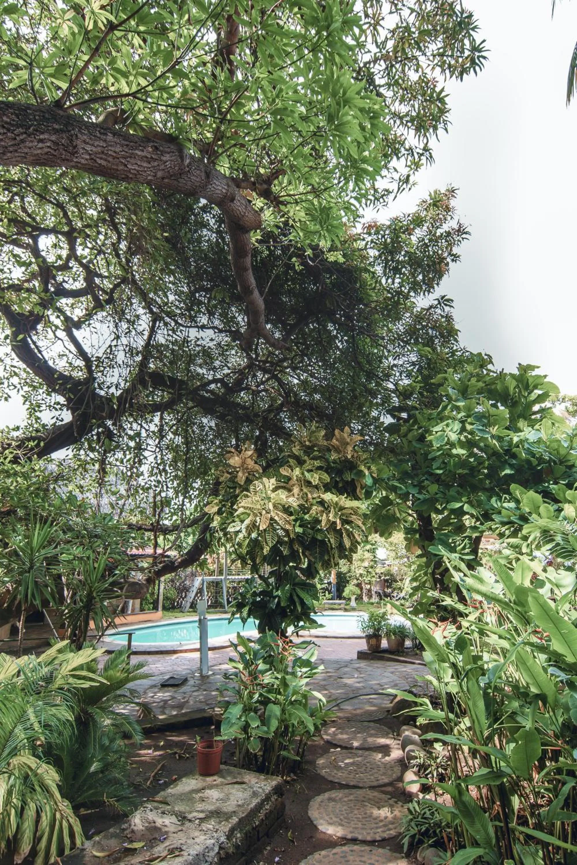 Garden in Esencia Nativa