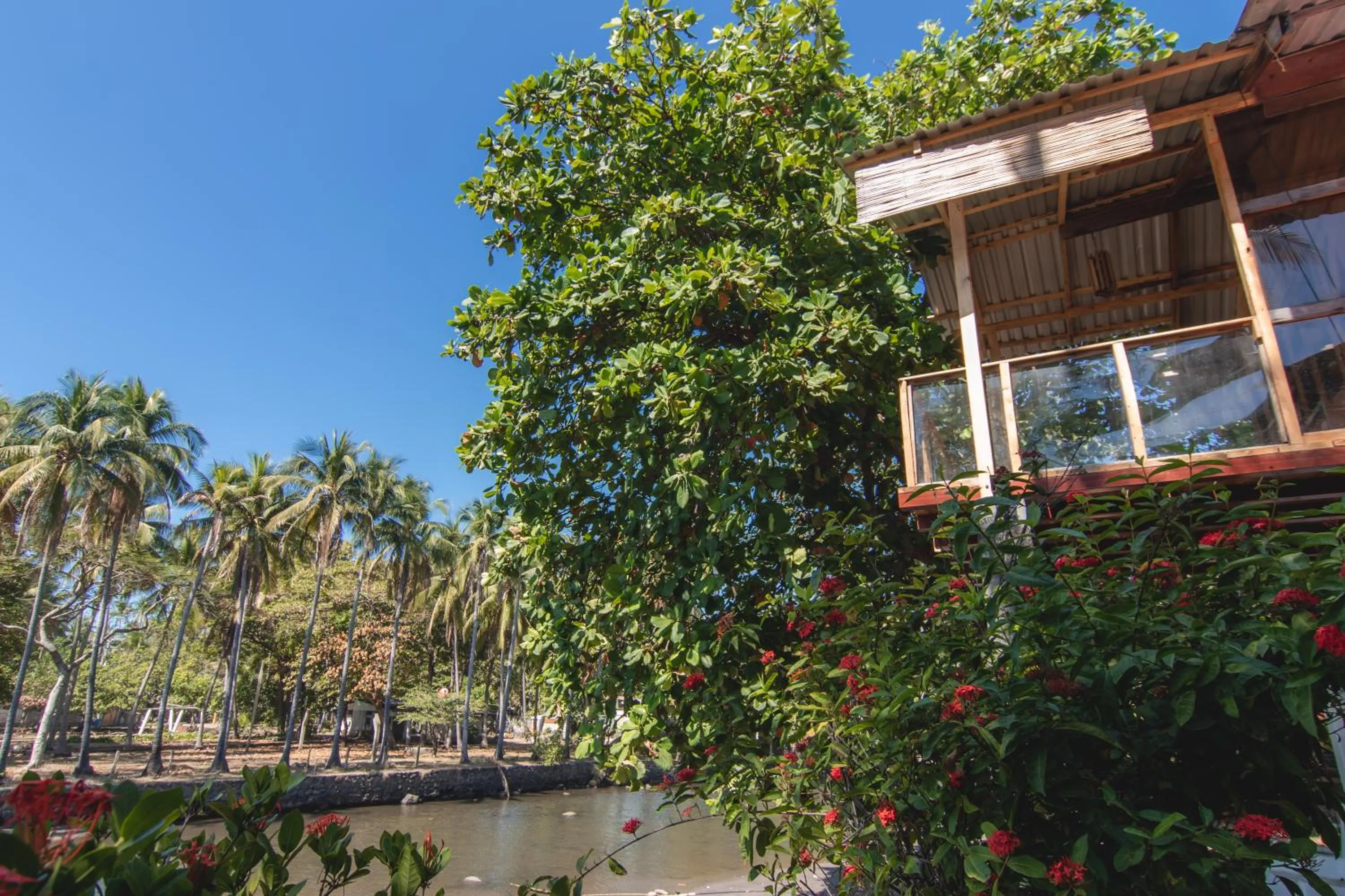 River view in Esencia Nativa