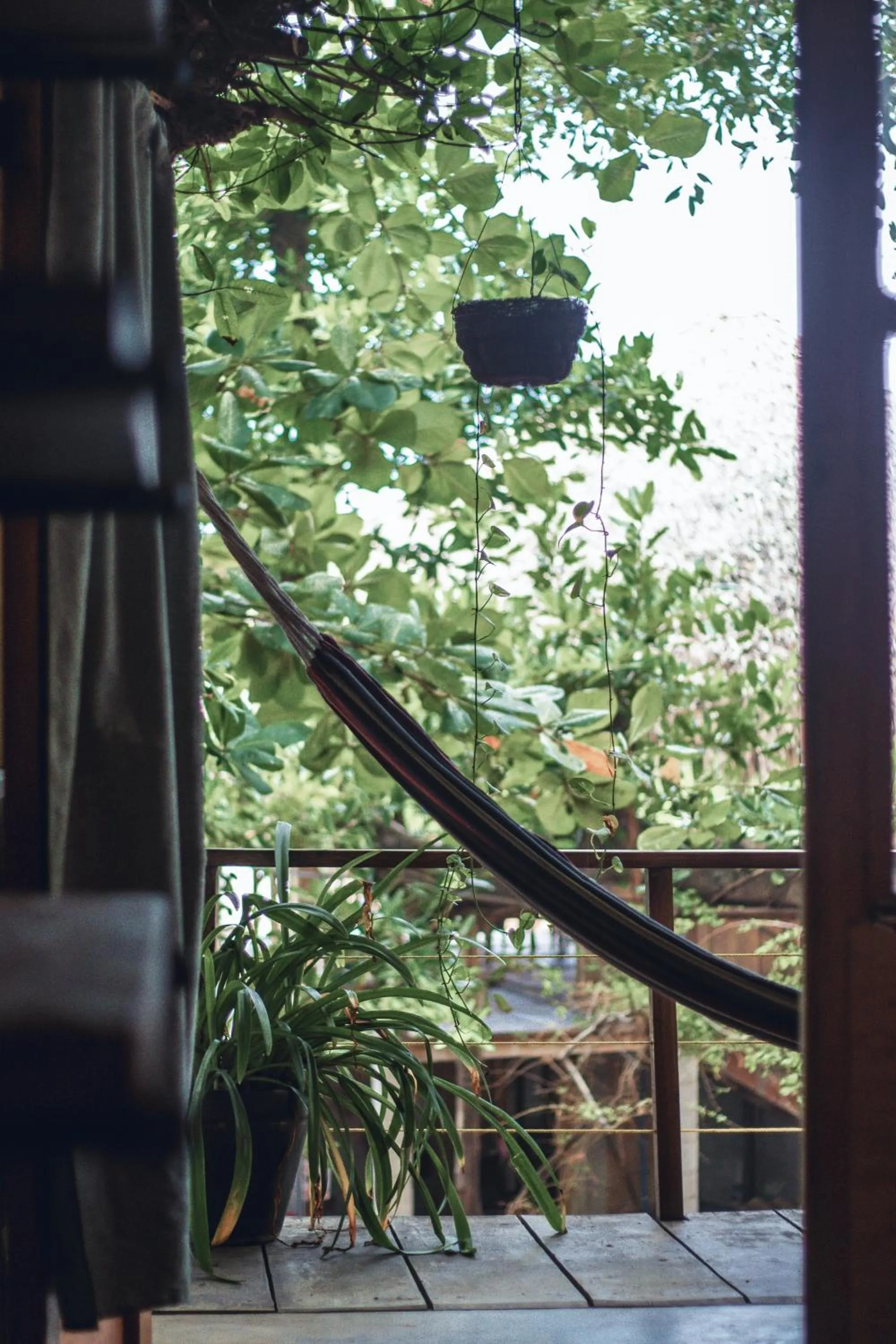 View (from property/room) in Esencia Nativa