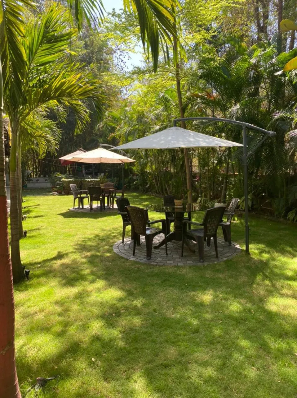 Garden in Royal Palms Luxury Service Apartment