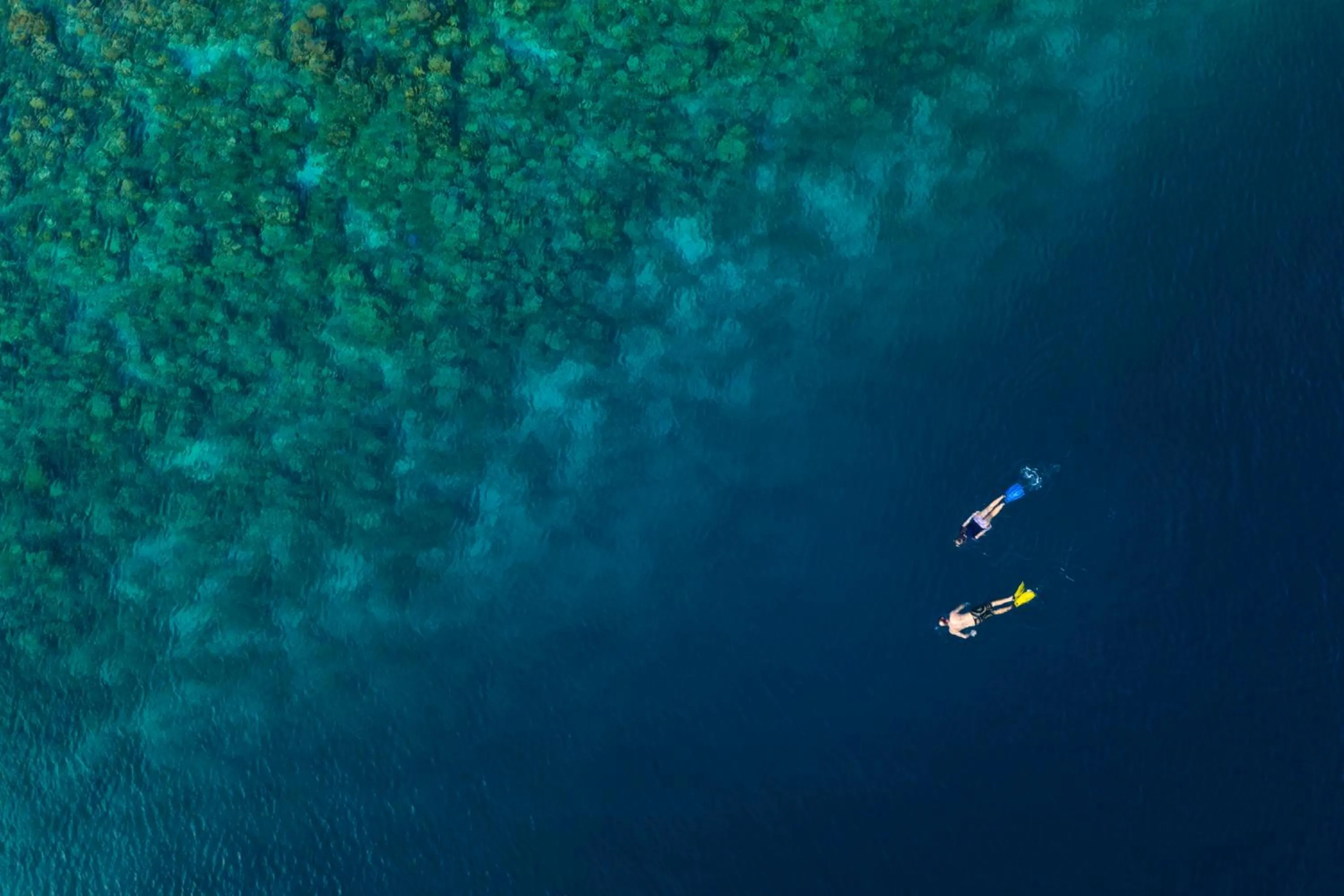 Snorkeling in The Standard, Huruvalhi Maldives