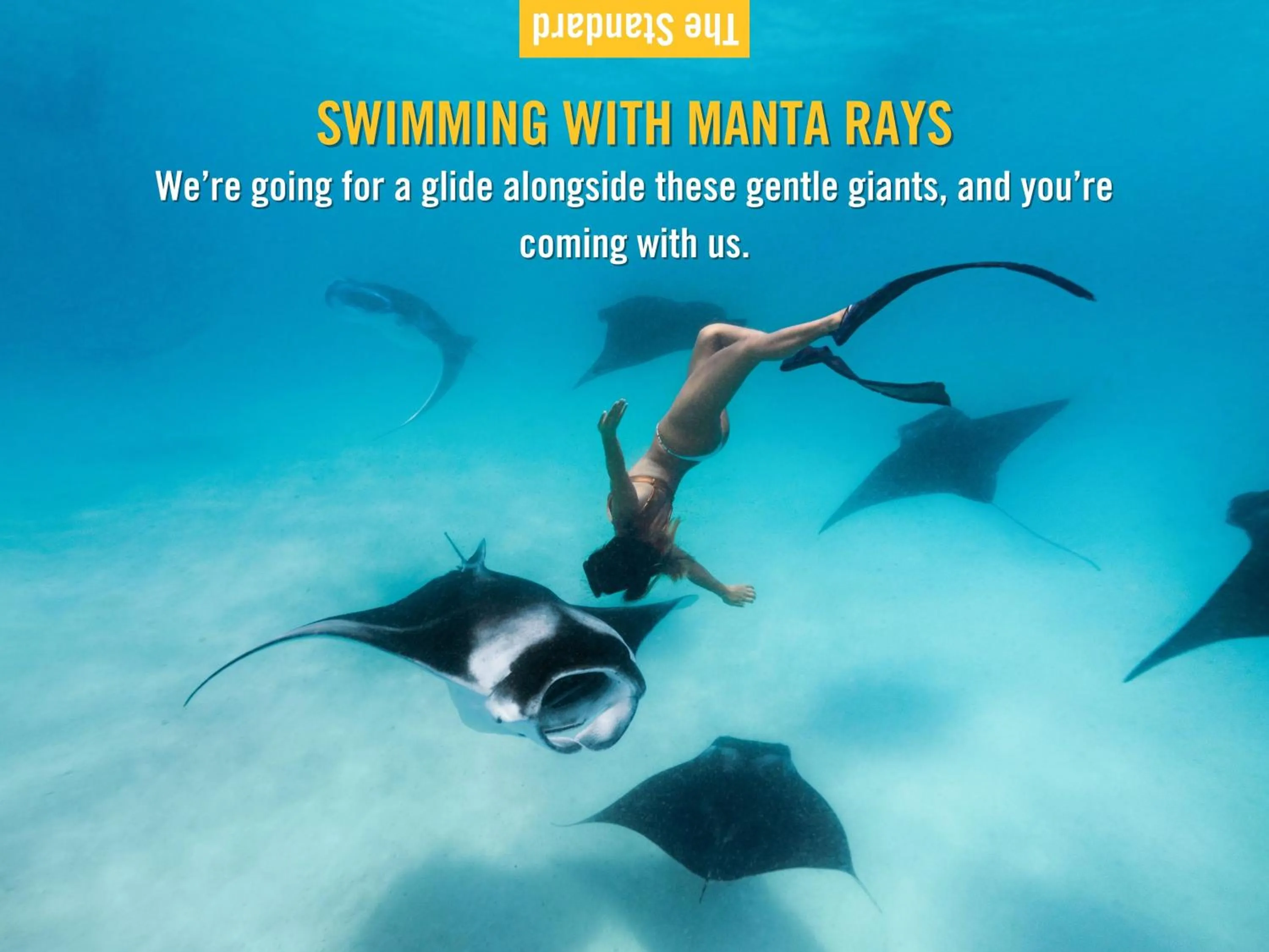 Natural landscape in The Standard, Huruvalhi Maldives