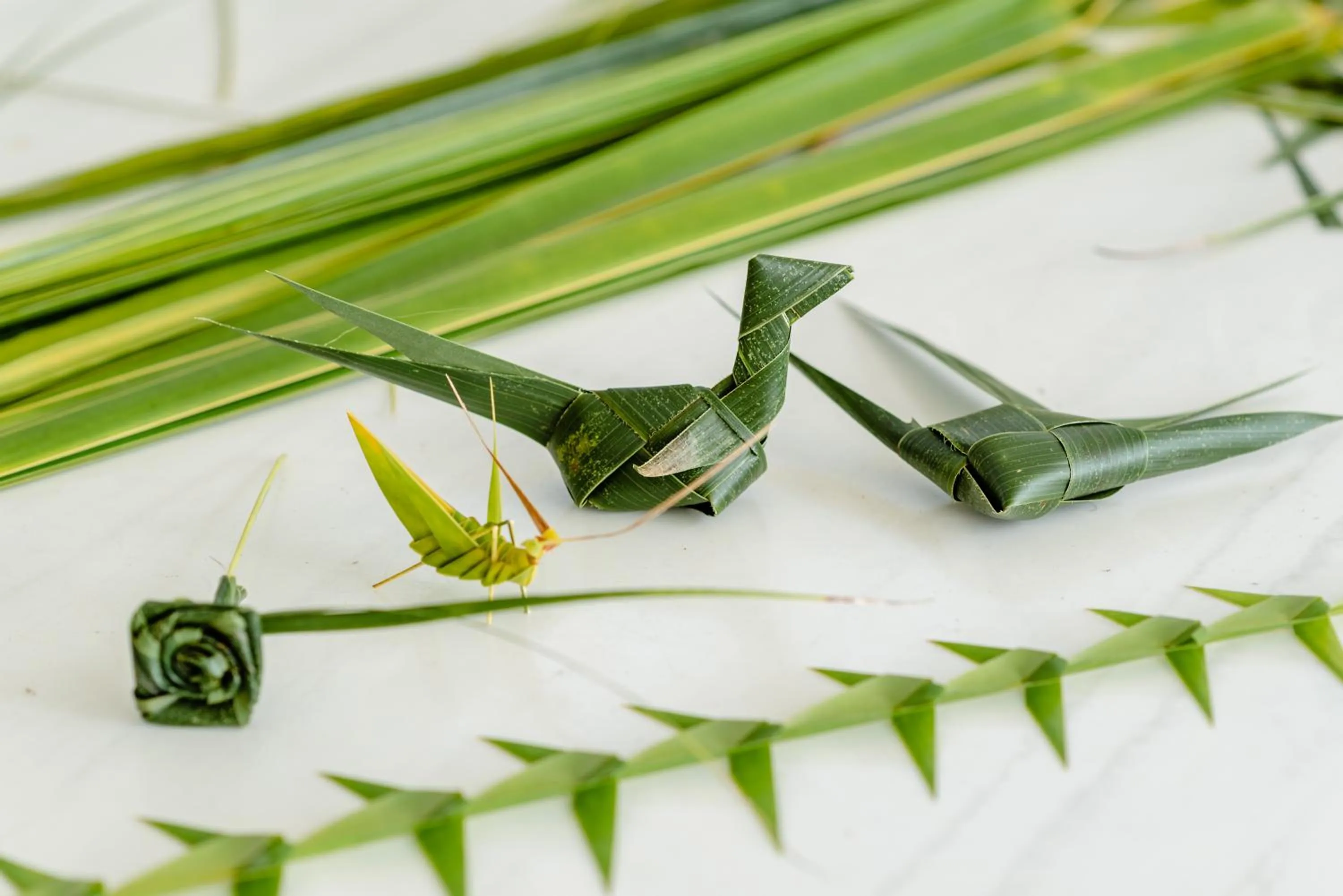 Activities in The Standard, Huruvalhi Maldives