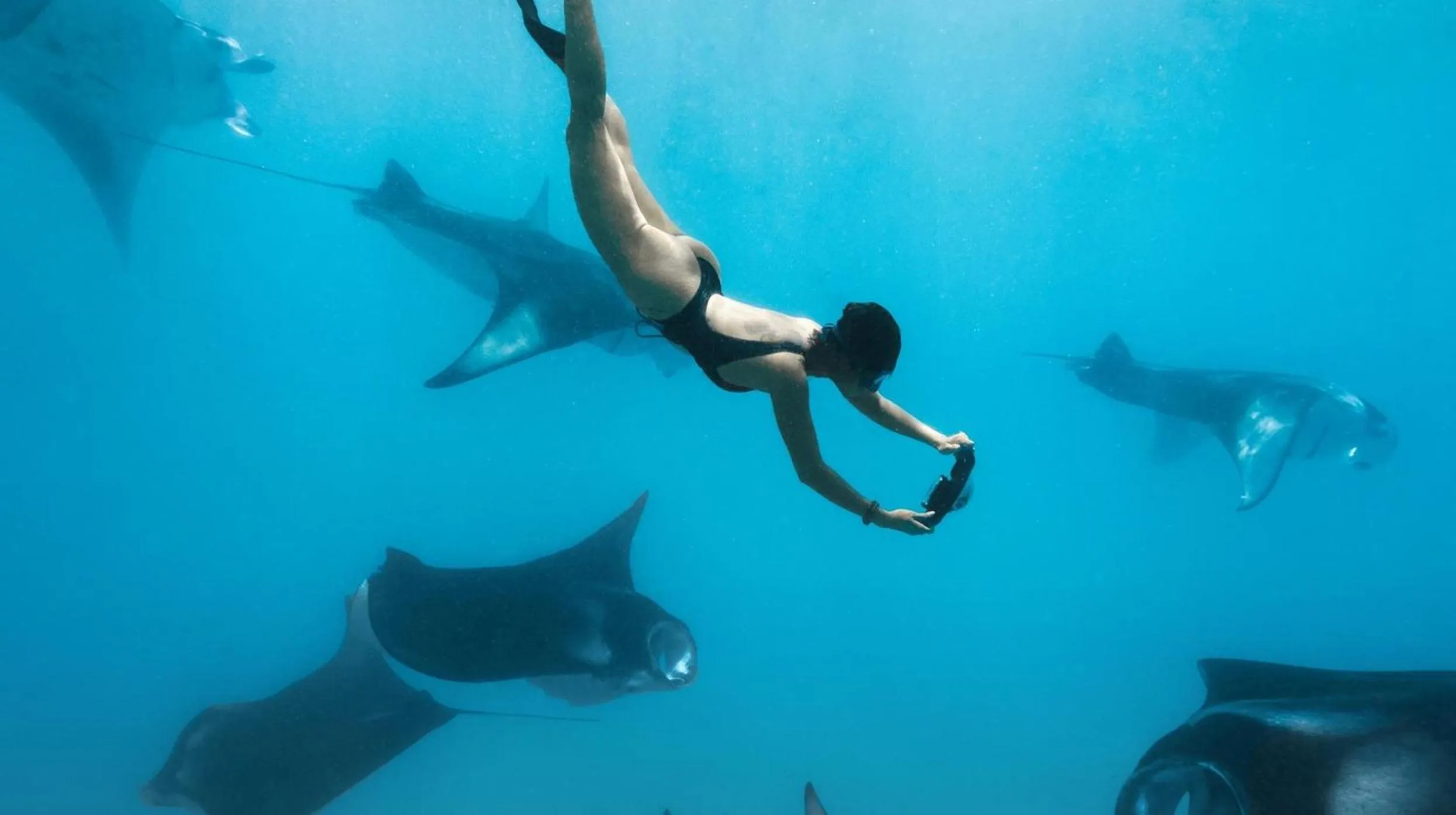 Activities in The Standard, Huruvalhi Maldives