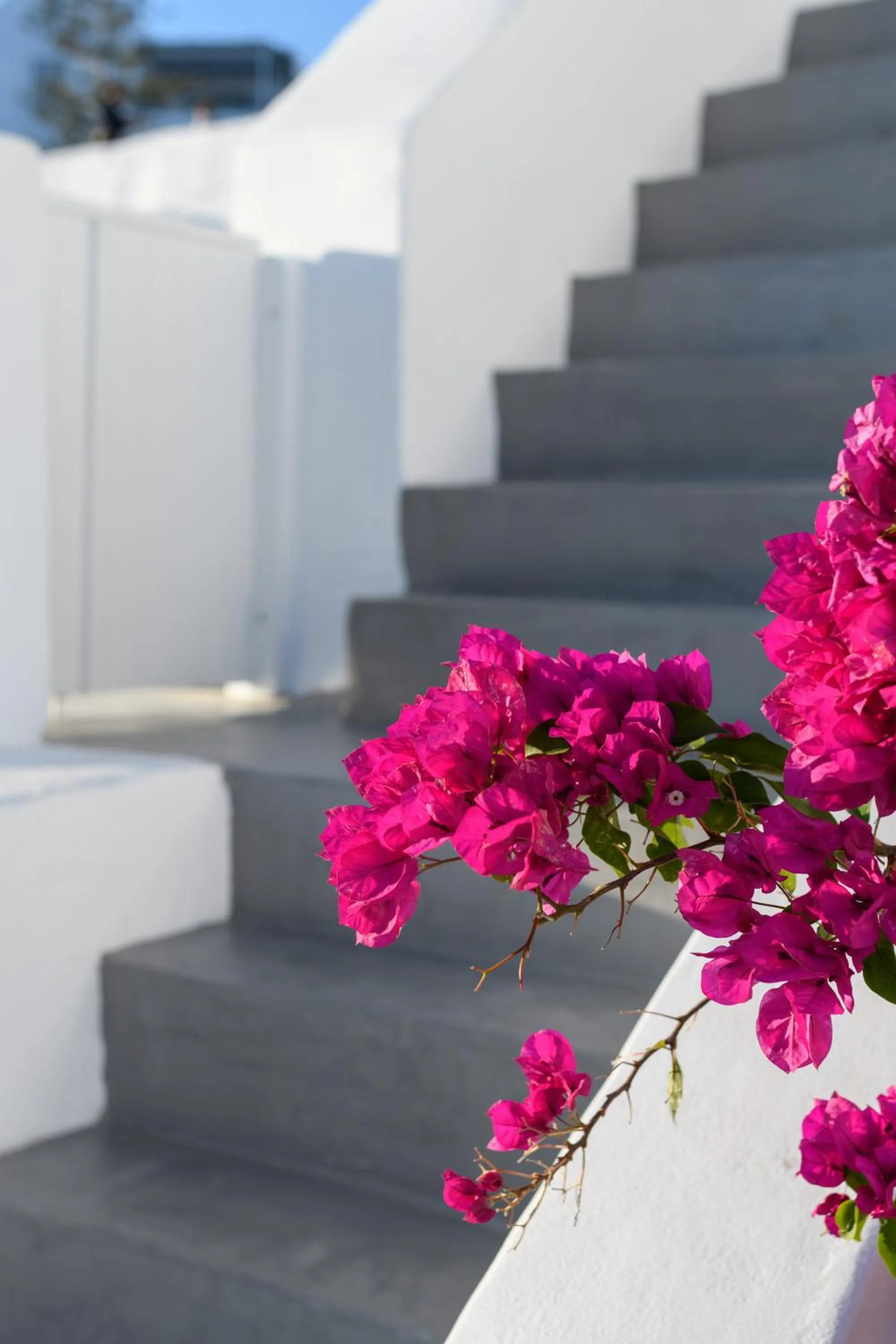 Property building in Echoes Luxury Suites