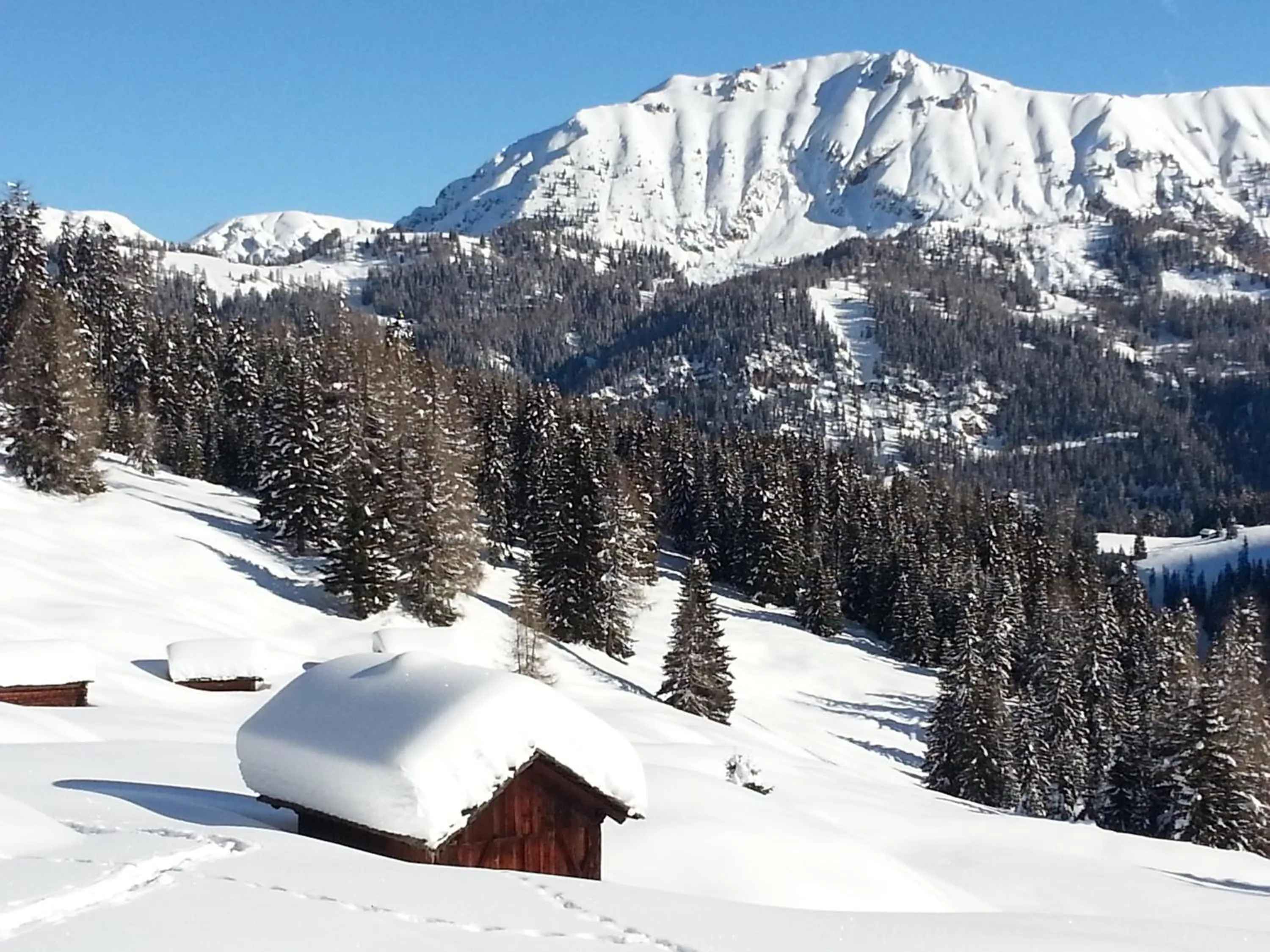 Day in Plan Murin - Authentic Dolomites Hotel