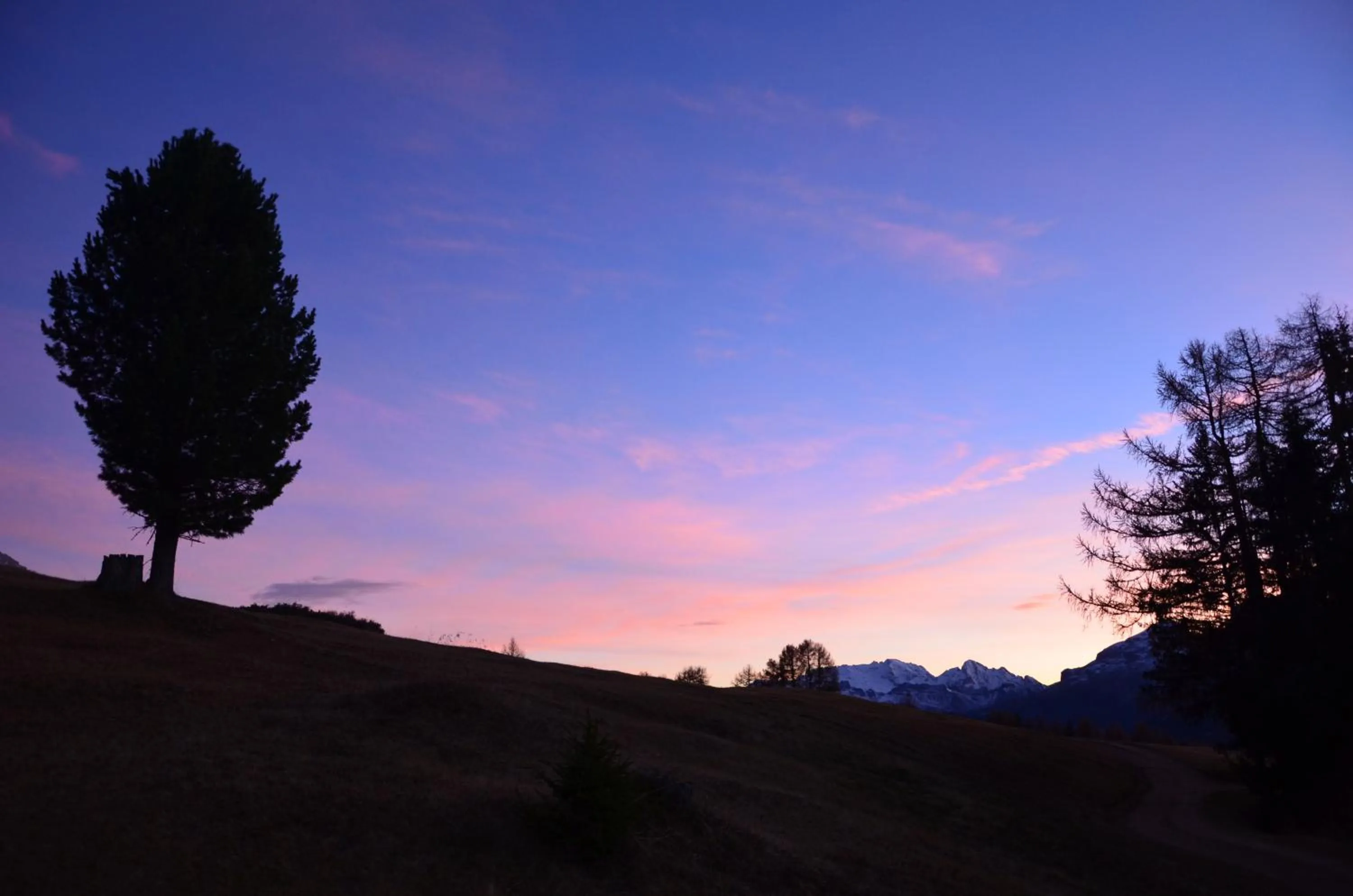 Natural landscape in Plan Murin - Authentic Dolomites Hotel
