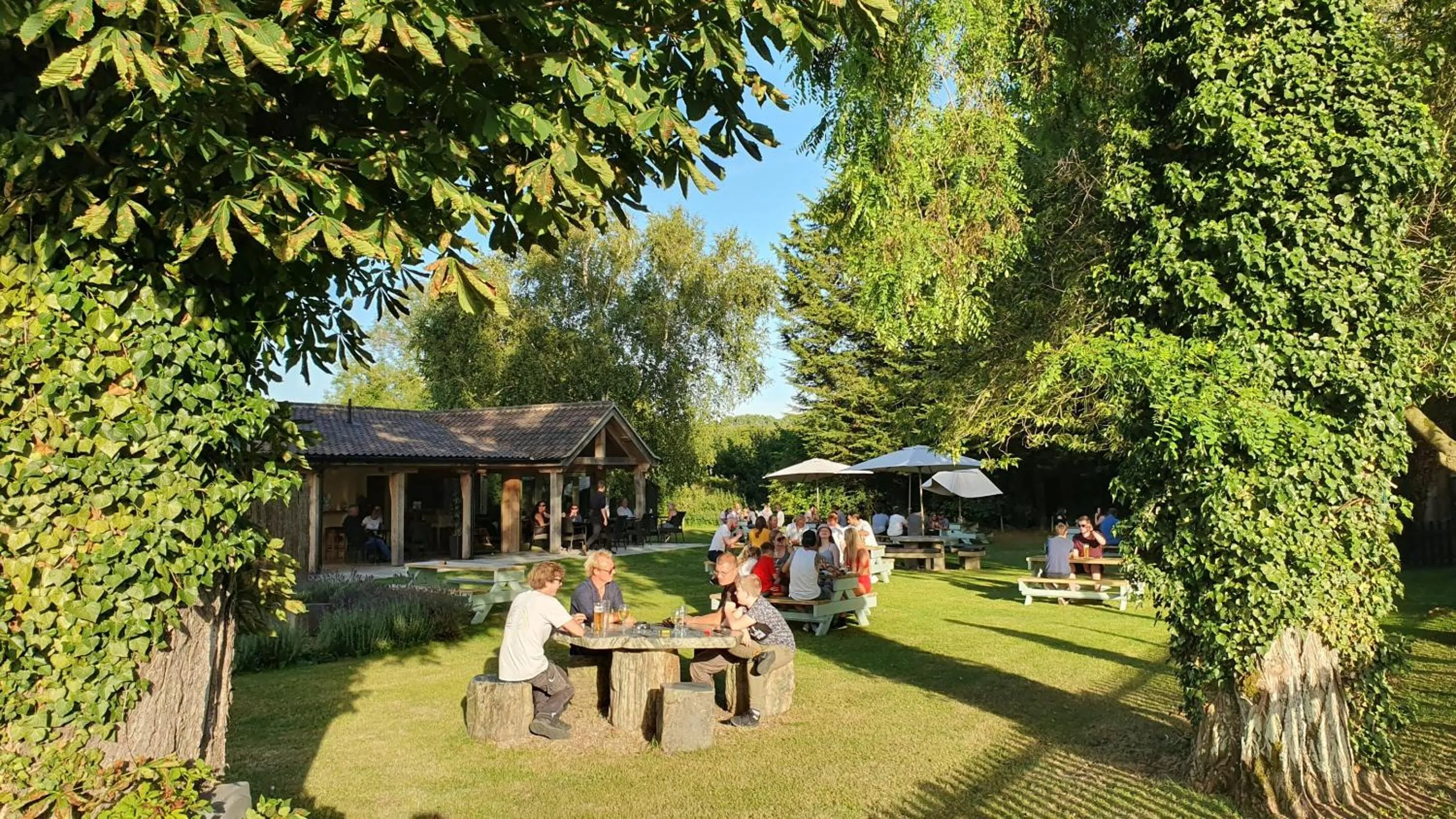 Garden in The Bedingfeld Arms