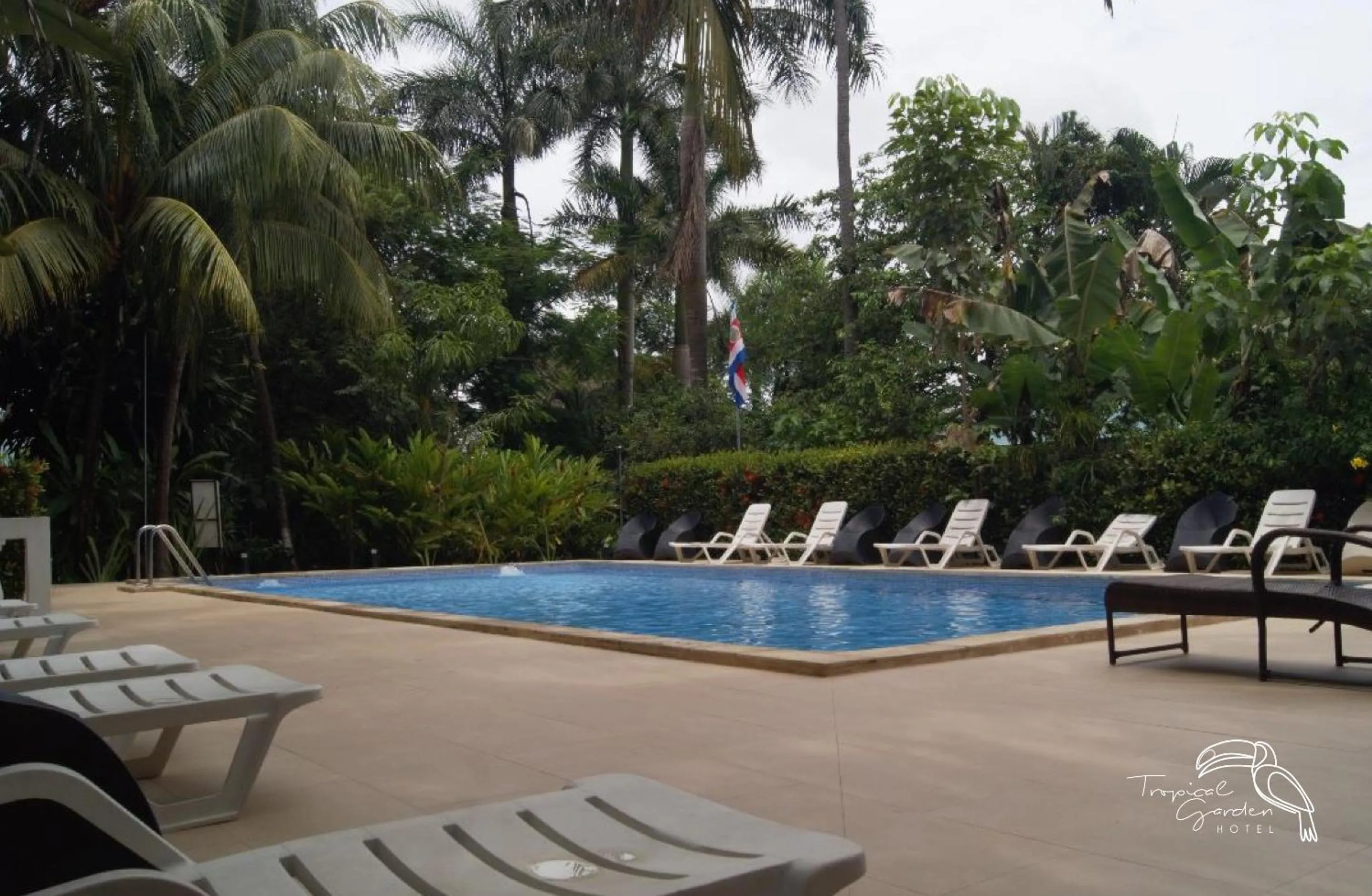 Swimming pool in Tropical Garden Hotel