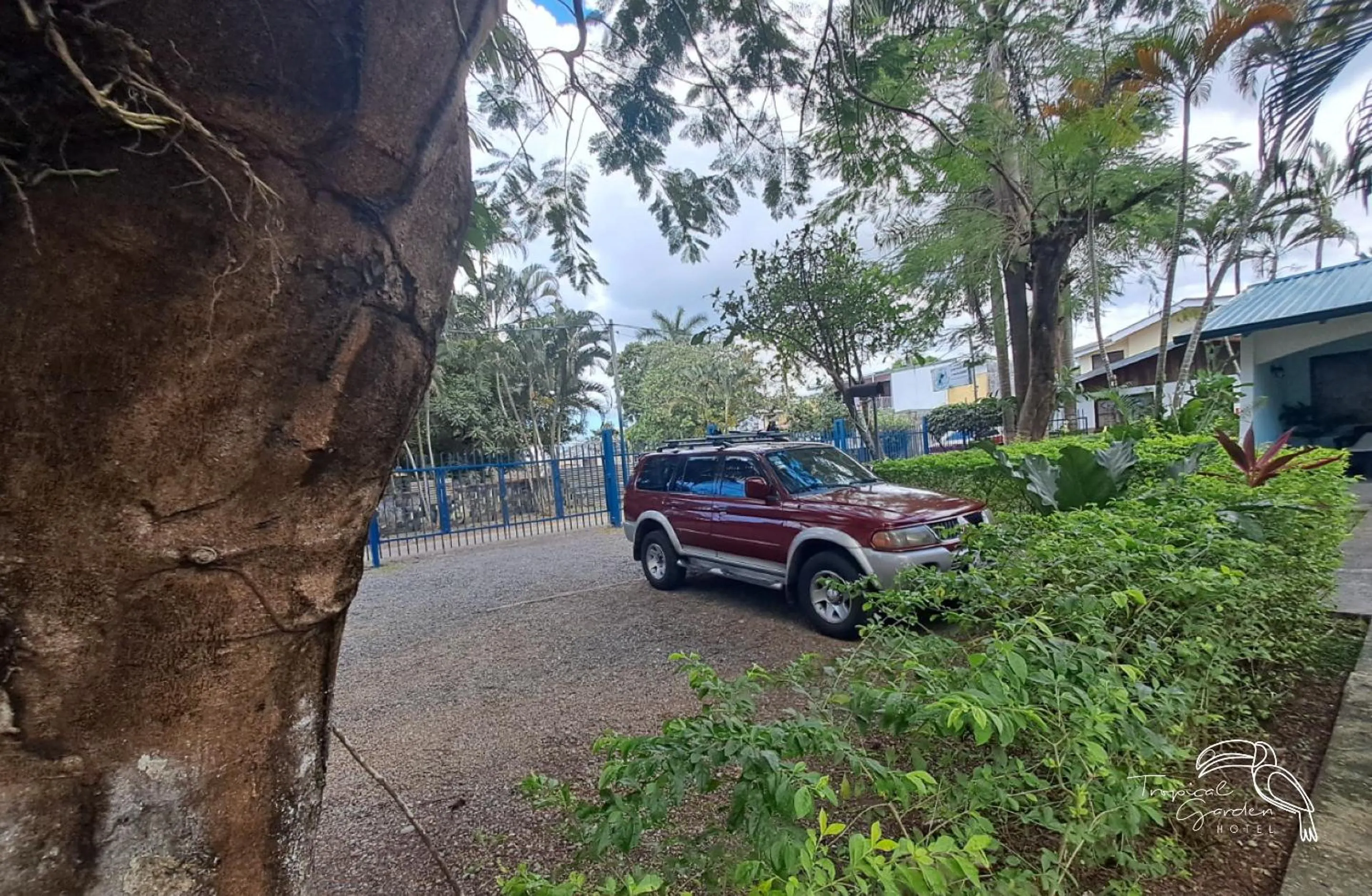 Parking in Tropical Garden Hotel